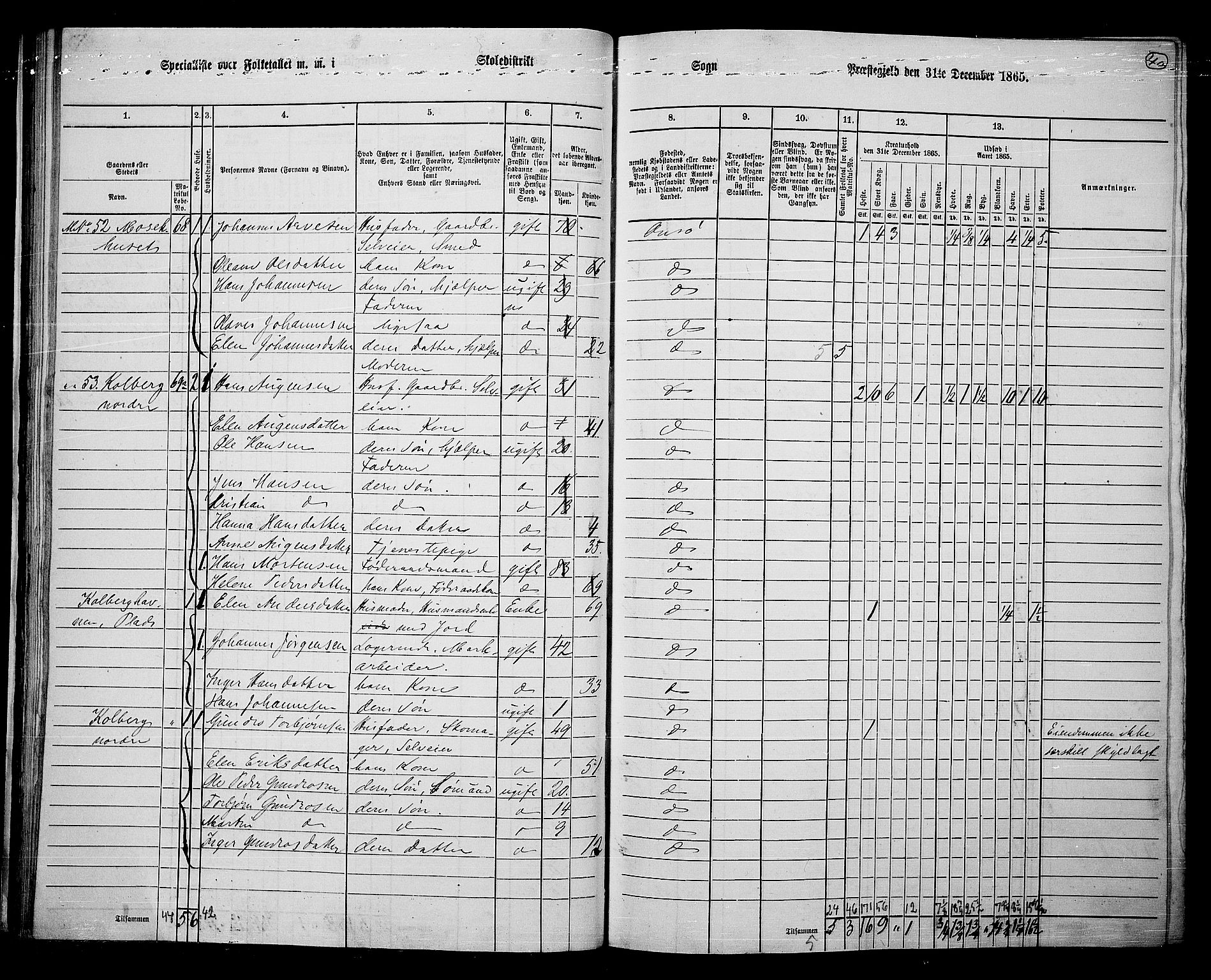 RA, 1865 census for Onsøy, 1865, p. 41