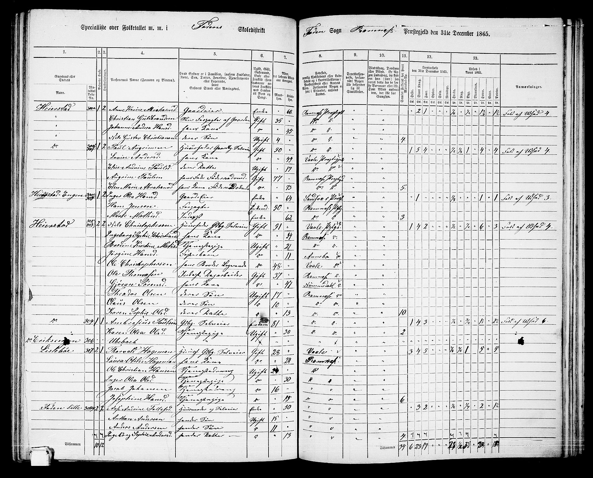 RA, 1865 census for Ramnes, 1865, p. 88