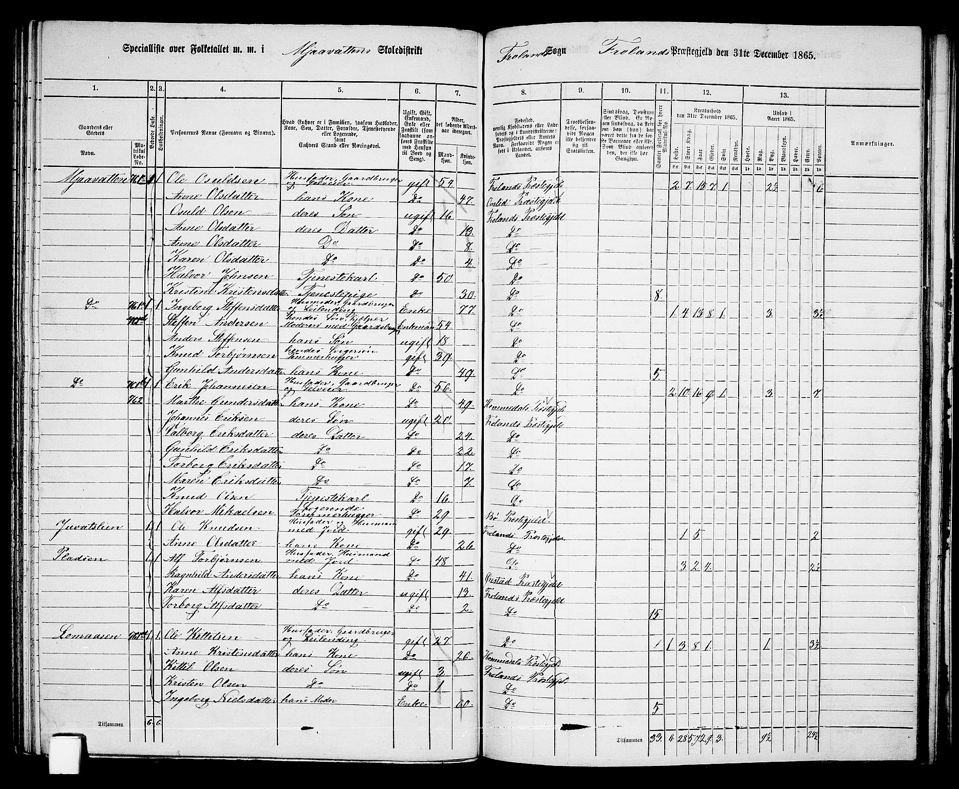 RA, 1865 census for Froland, 1865, p. 62