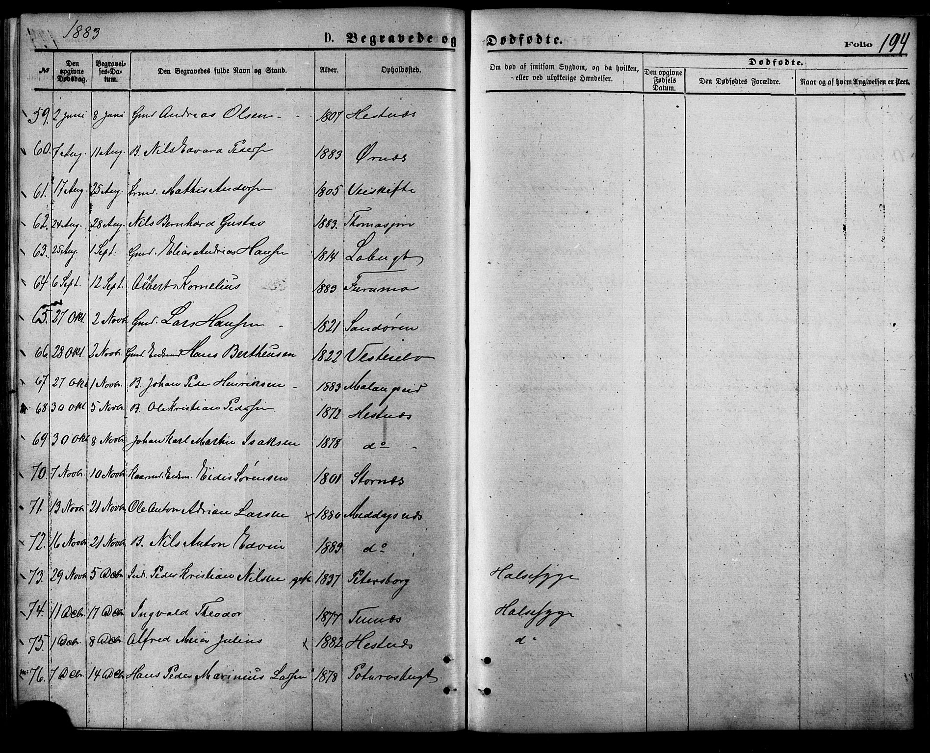 Balsfjord sokneprestembete, SATØ/S-1303/G/Ga/L0004kirke: Parish register (official) no. 4, 1871-1883, p. 194