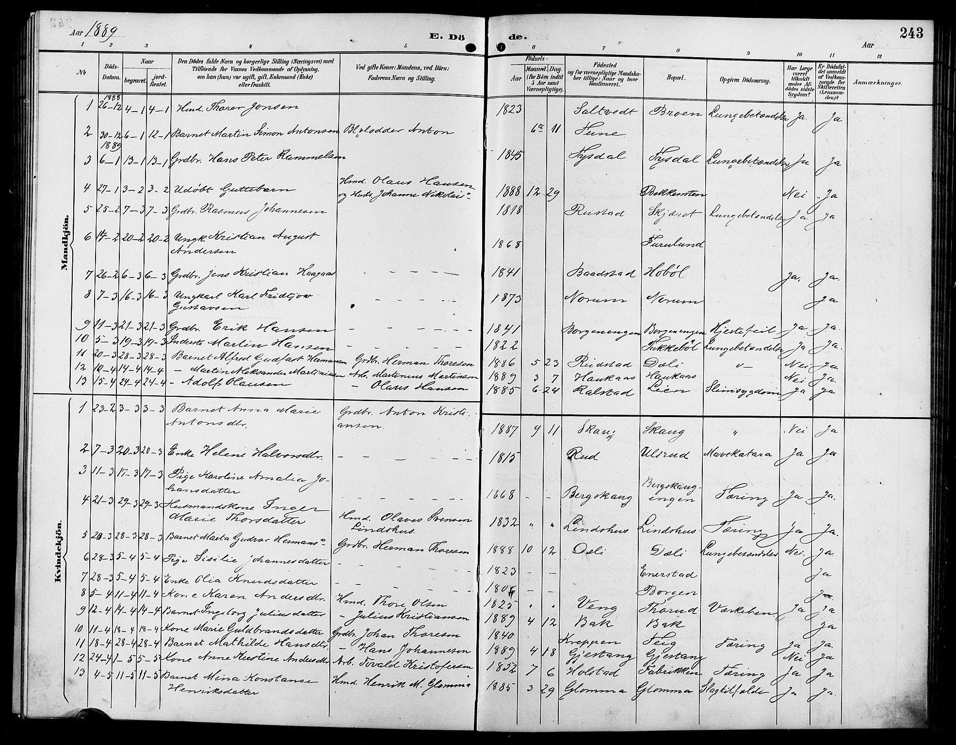 Enebakk prestekontor Kirkebøker, SAO/A-10171c/G/Ga/L0006: Parish register (copy) no. I 6, 1889-1911, p. 243