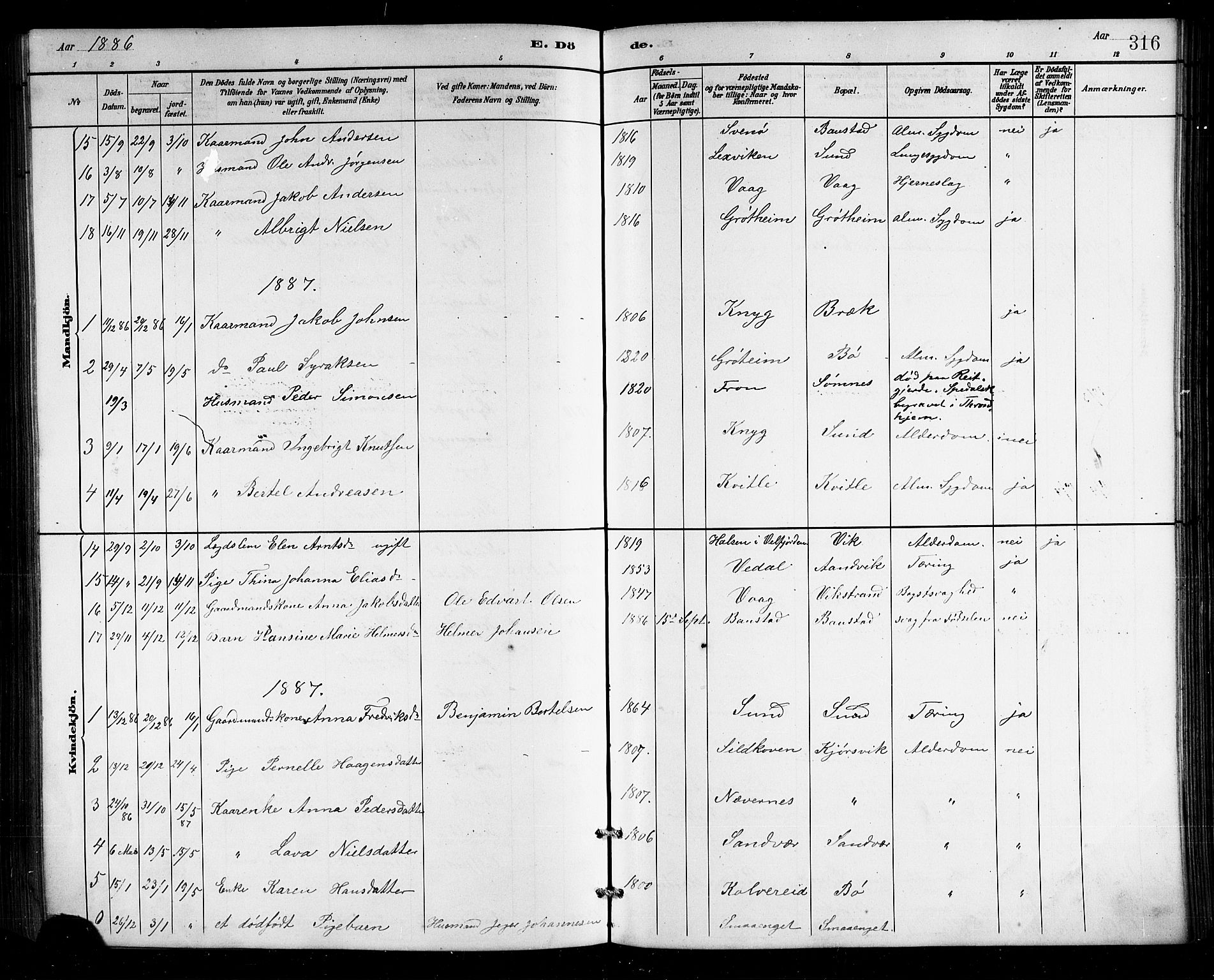 Ministerialprotokoller, klokkerbøker og fødselsregistre - Nordland, AV/SAT-A-1459/812/L0188: Parish register (copy) no. 812C06, 1884-1912, p. 316