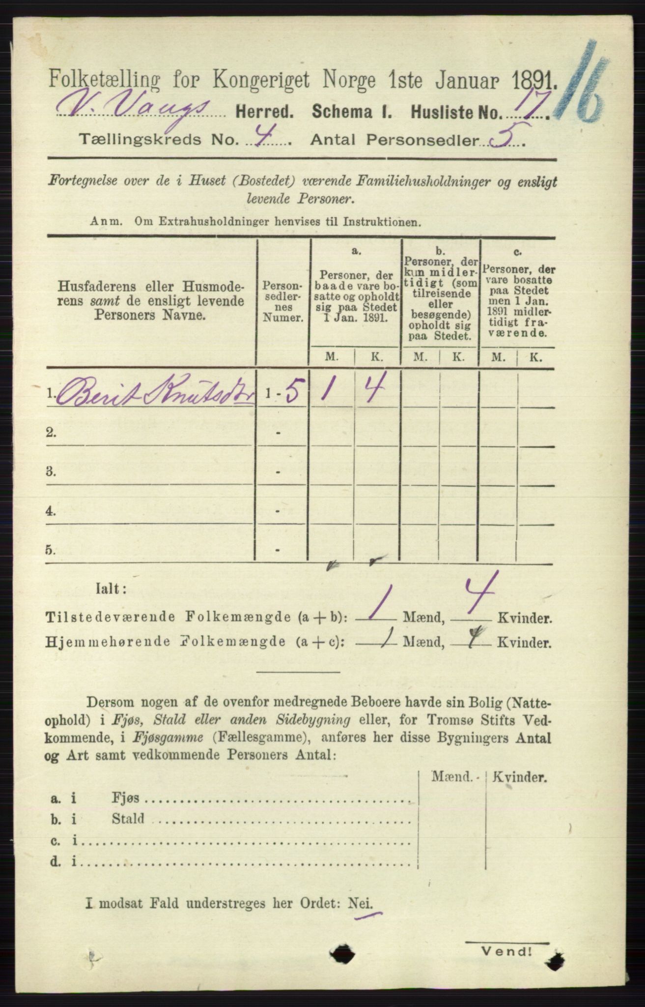 RA, 1891 census for 0545 Vang, 1891, p. 891