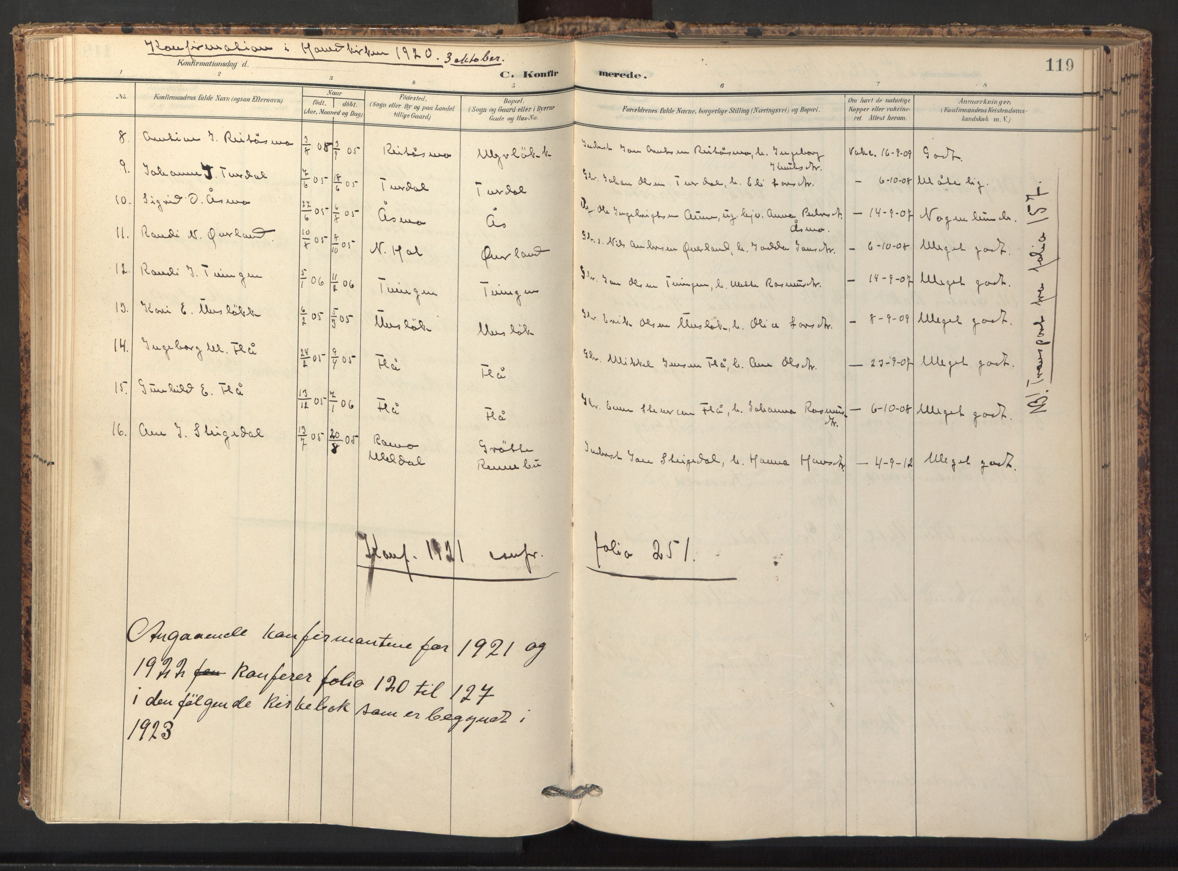 Ministerialprotokoller, klokkerbøker og fødselsregistre - Sør-Trøndelag, SAT/A-1456/674/L0873: Parish register (official) no. 674A05, 1908-1923, p. 119