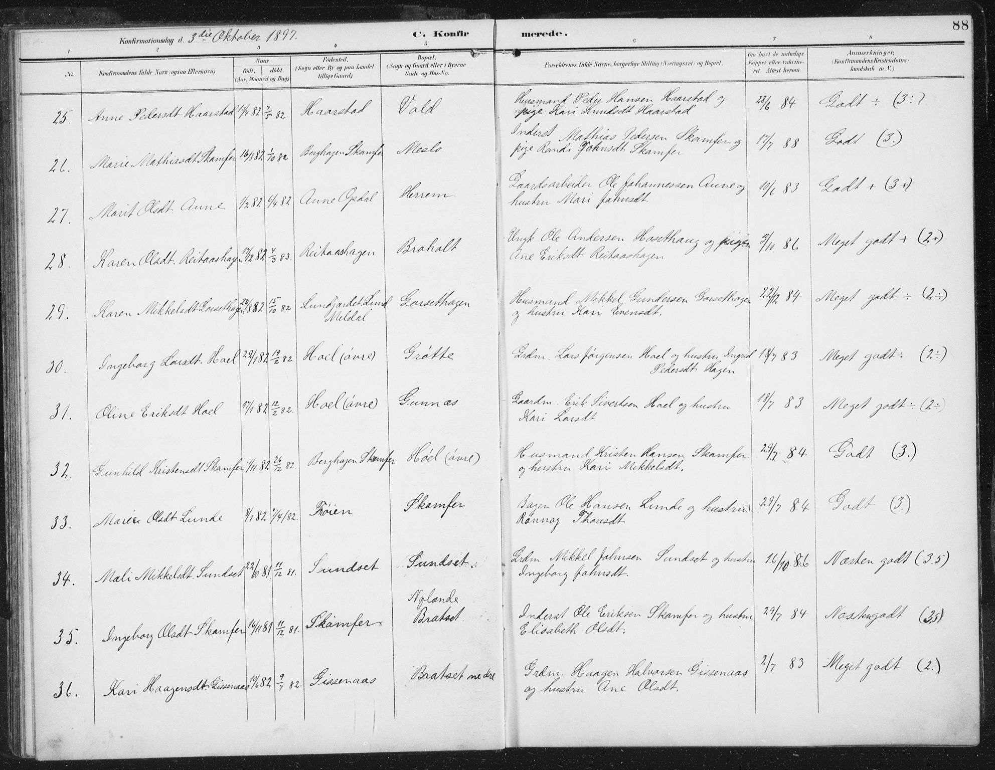 Ministerialprotokoller, klokkerbøker og fødselsregistre - Sør-Trøndelag, SAT/A-1456/674/L0872: Parish register (official) no. 674A04, 1897-1907, p. 88