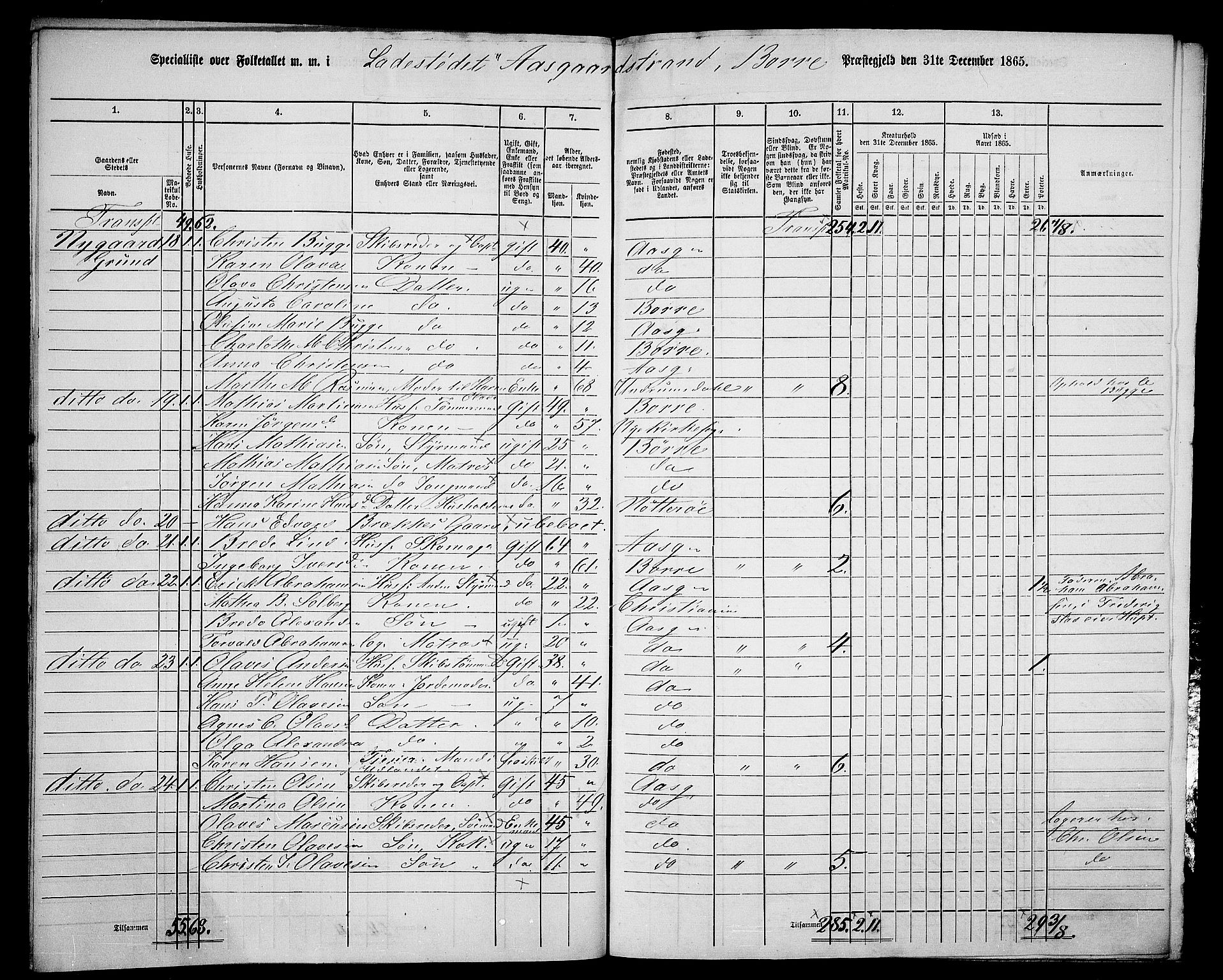 RA, 1865 census for Borre, 1865, p. 14