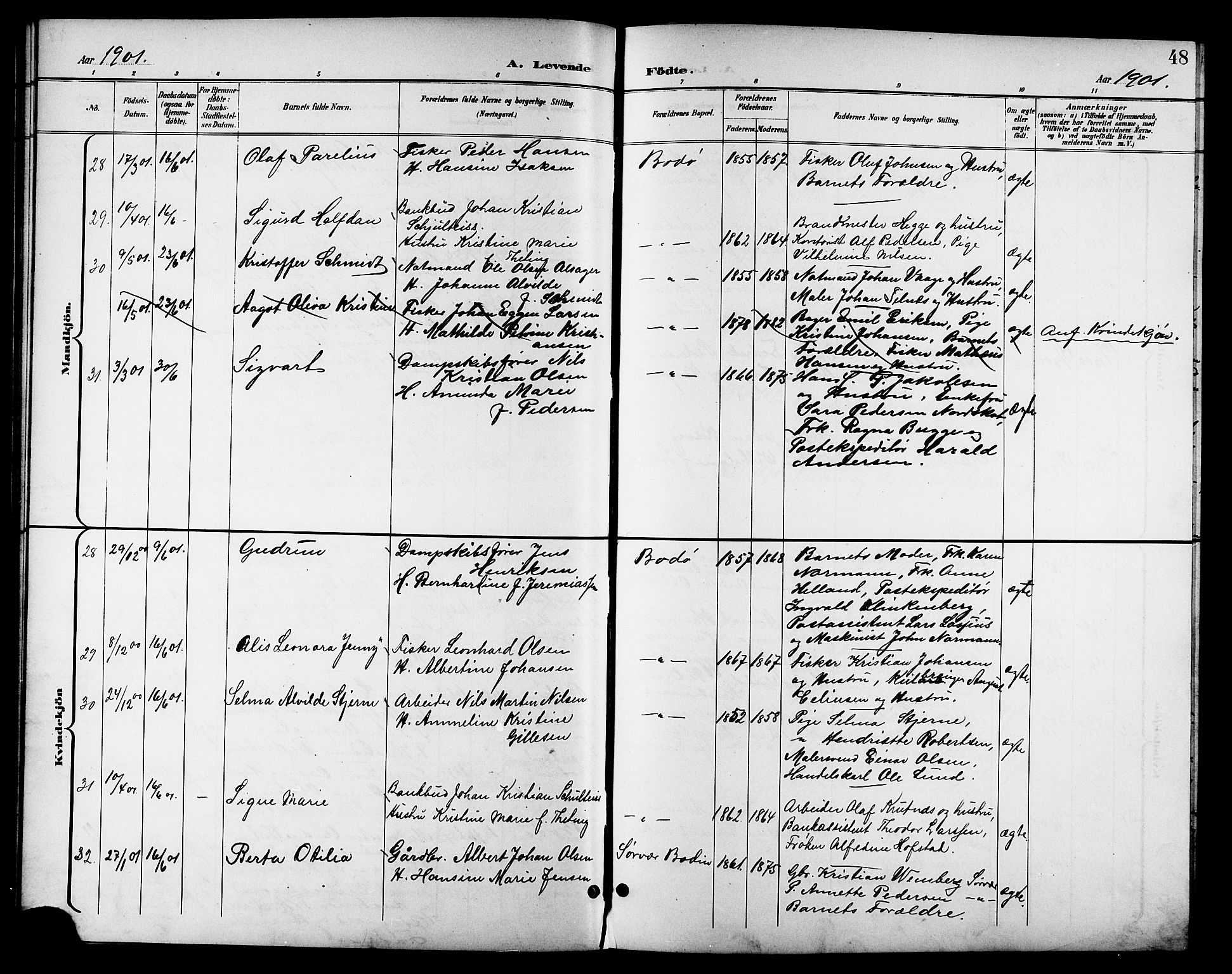 Ministerialprotokoller, klokkerbøker og fødselsregistre - Nordland, AV/SAT-A-1459/801/L0033: Parish register (copy) no. 801C08, 1898-1910, p. 48