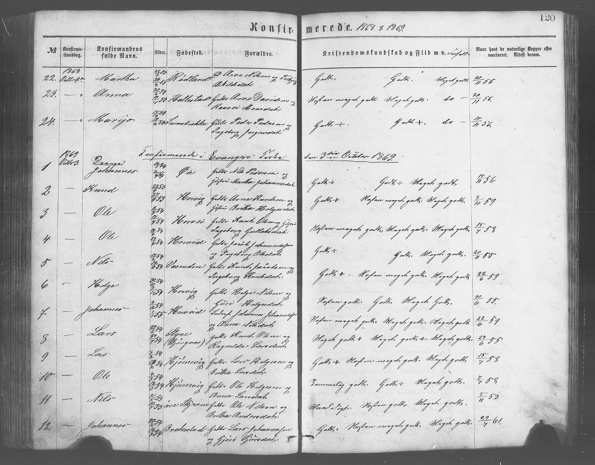 Evanger sokneprestembete, SAB/A-99924: Parish register (copy) no. A 2, 1863-1879, p. 120