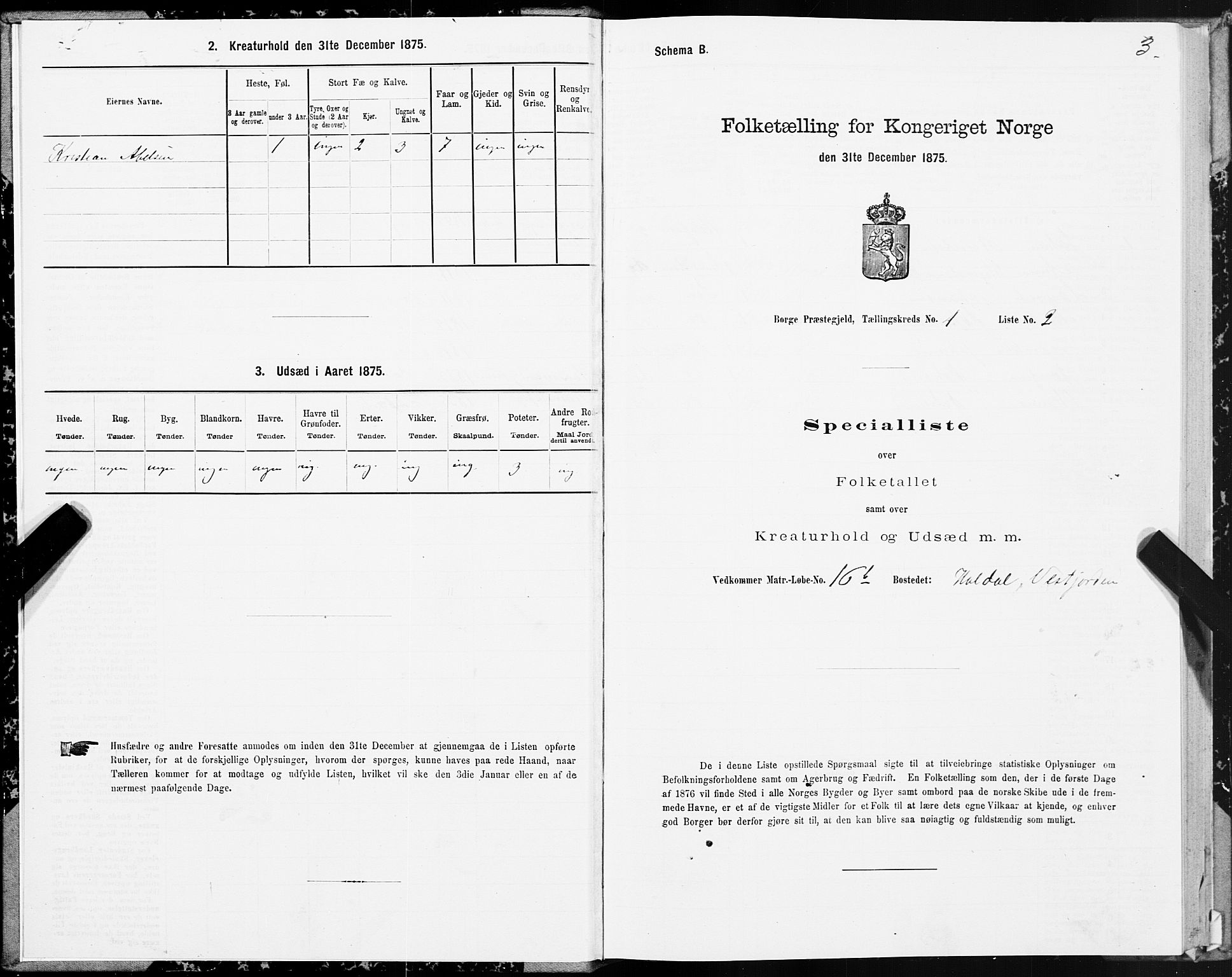 SAT, 1875 census for 1862P Borge, 1875, p. 1003