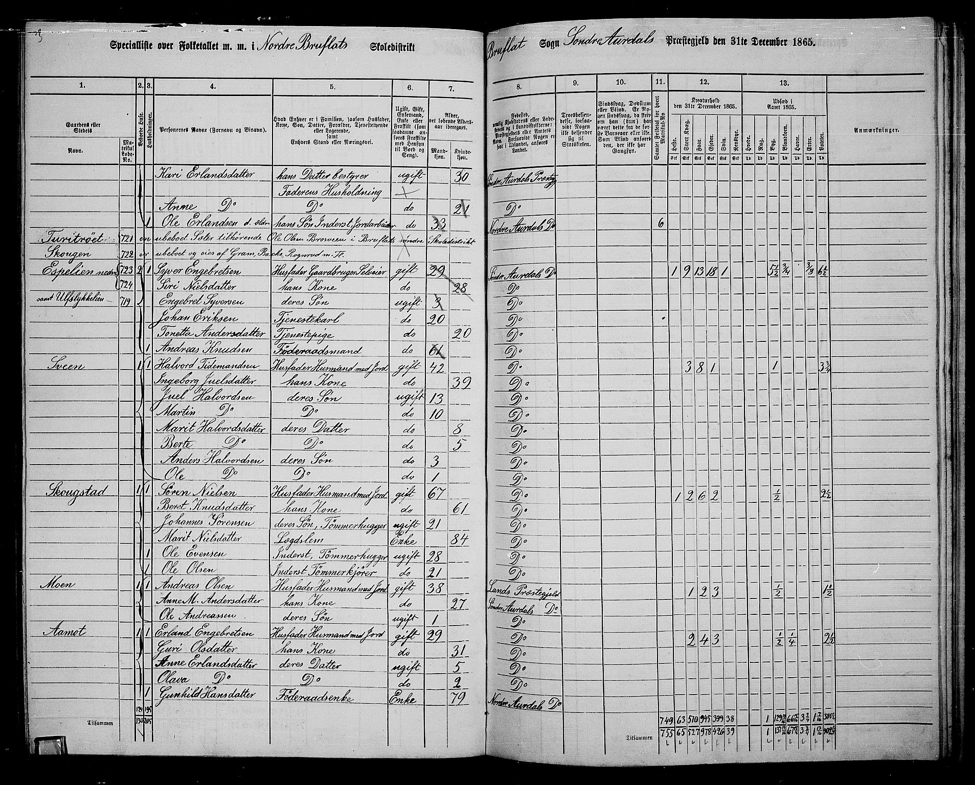 RA, 1865 census for Sør-Aurdal, 1865, p. 213