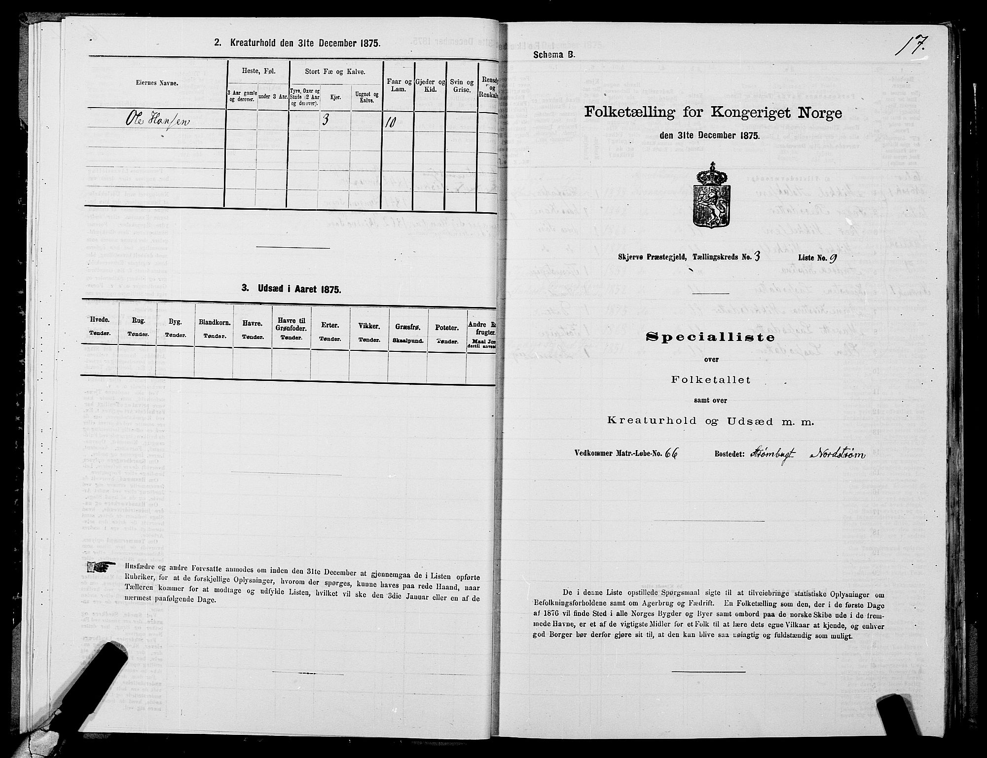 SATØ, 1875 census for 1941P Skjervøy, 1875, p. 2017