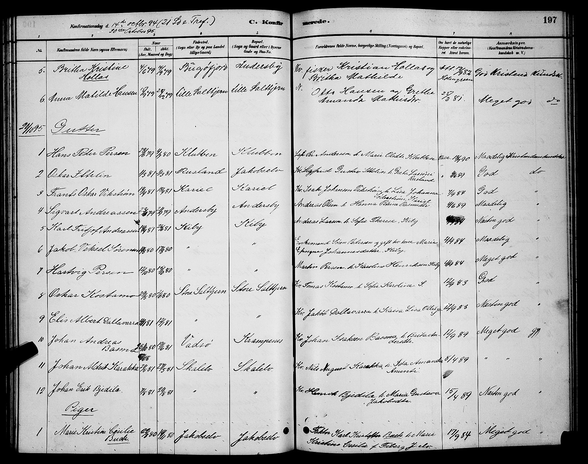 Vadsø sokneprestkontor, SATØ/S-1325/H/Hb/L0003klokker: Parish register (copy) no. 3, 1881-1901, p. 197