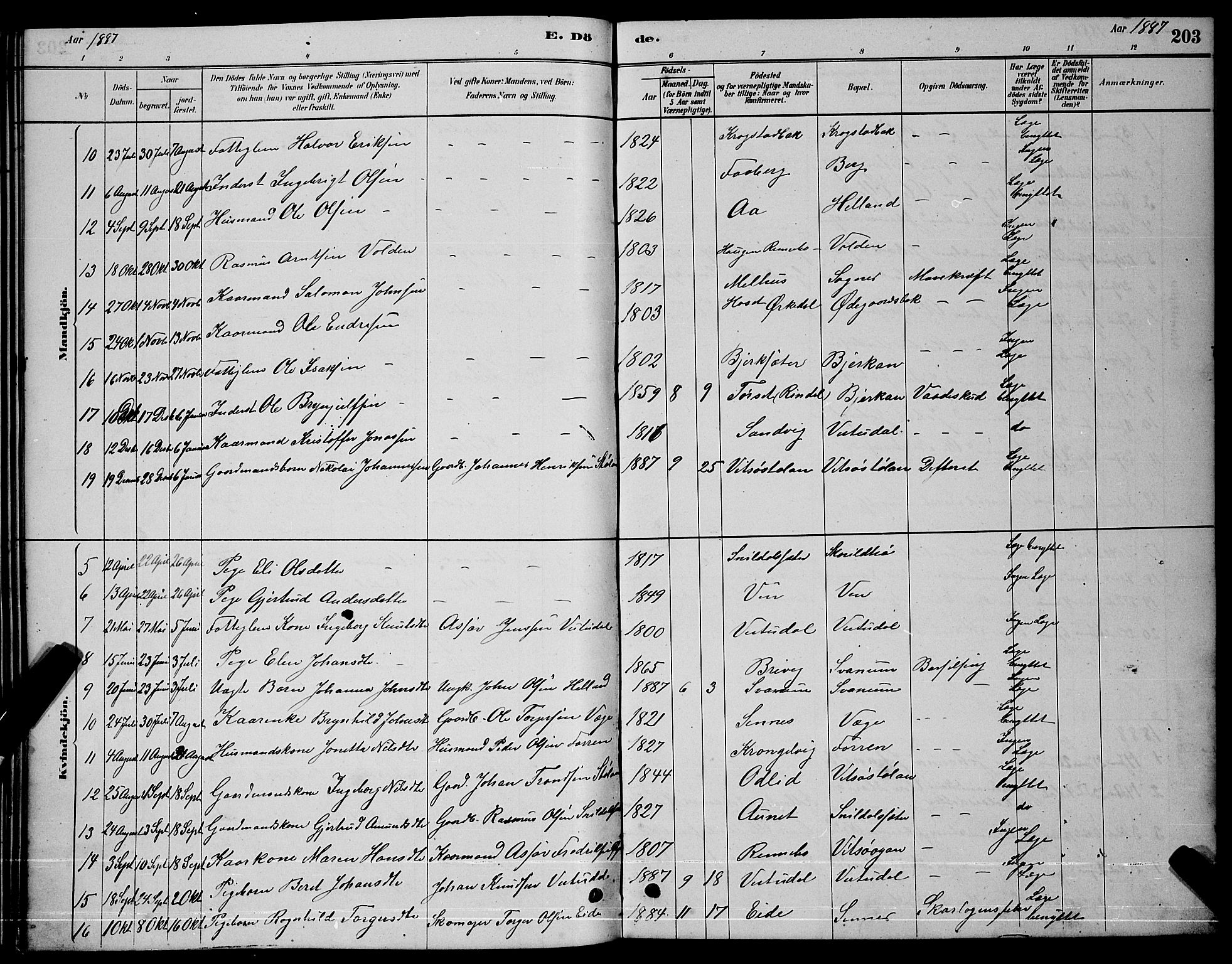 Ministerialprotokoller, klokkerbøker og fødselsregistre - Sør-Trøndelag, SAT/A-1456/630/L0504: Parish register (copy) no. 630C02, 1879-1898, p. 203