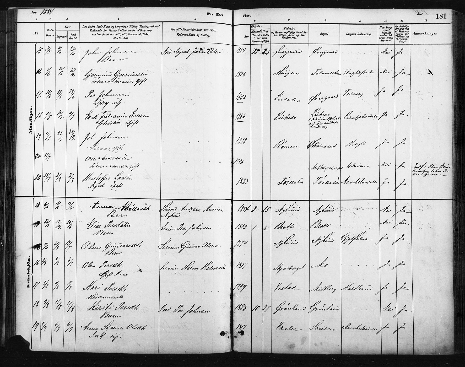 Trysil prestekontor, AV/SAH-PREST-046/H/Ha/Haa/L0009: Parish register (official) no. 9, 1881-1897, p. 181