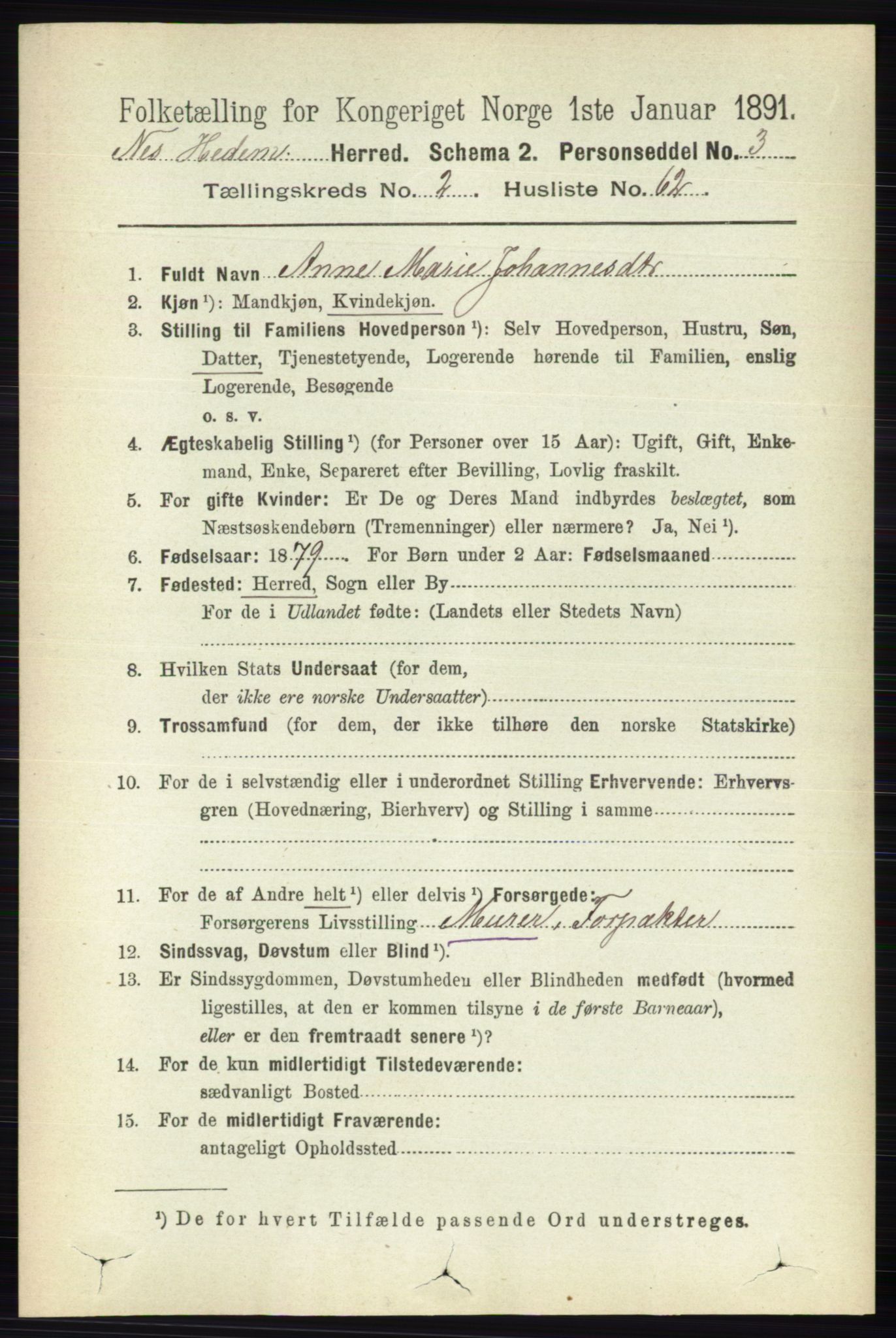 RA, 1891 census for 0411 Nes, 1891, p. 1501