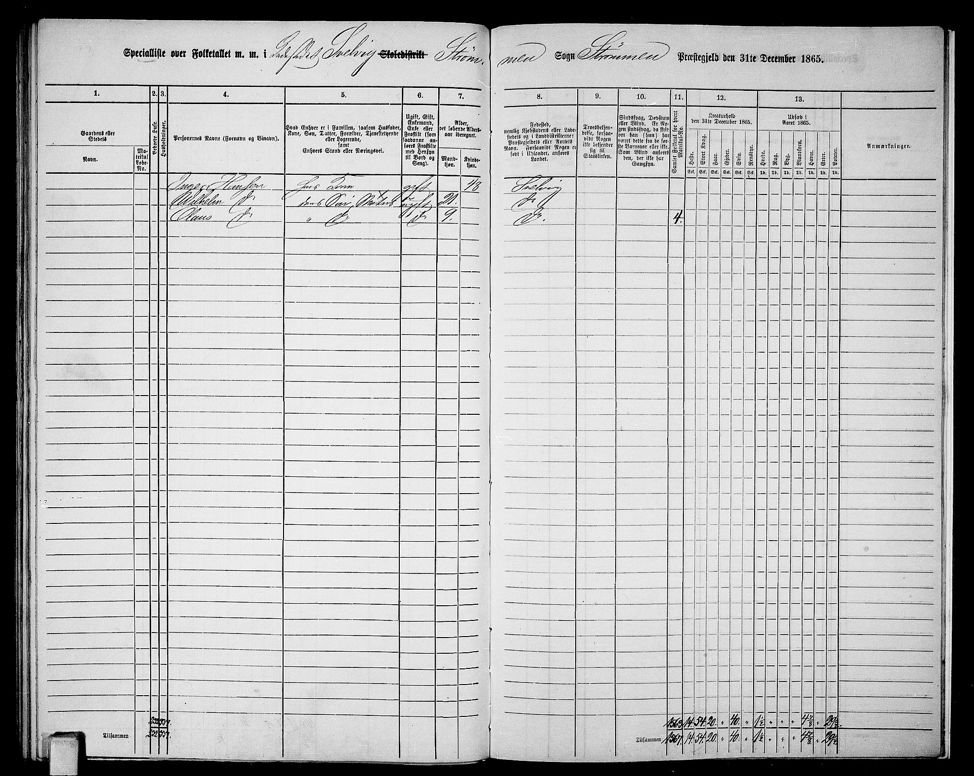 RA, 1865 census for Strømm, 1865, p. 117