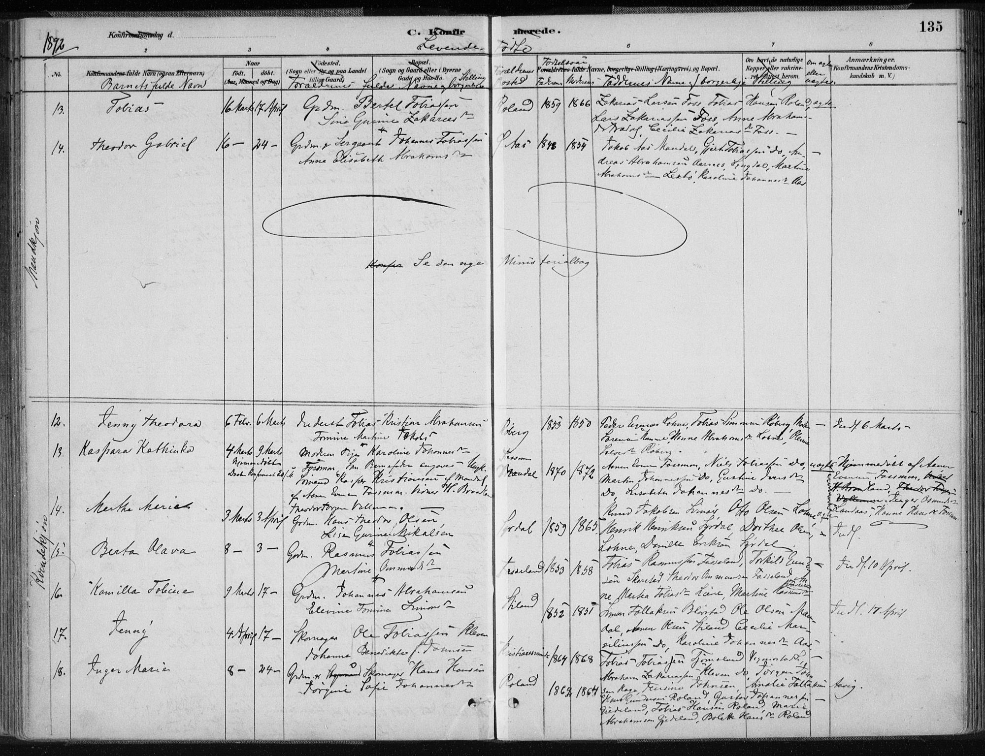 Sør-Audnedal sokneprestkontor, SAK/1111-0039/F/Fa/Fab/L0009: Parish register (official) no. A 9, 1880-1895, p. 135