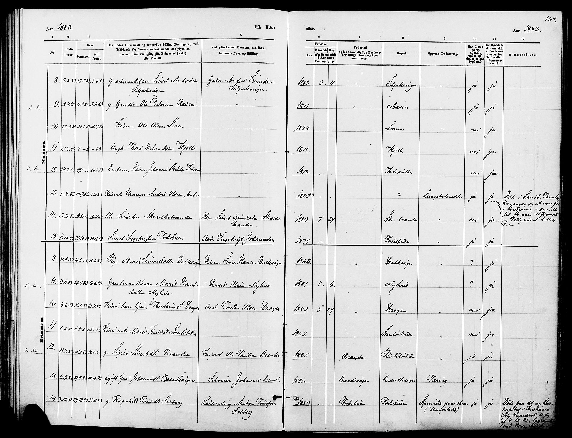 Dovre prestekontor, AV/SAH-PREST-066/H/Ha/Haa/L0002: Parish register (official) no. 2, 1879-1890, p. 164