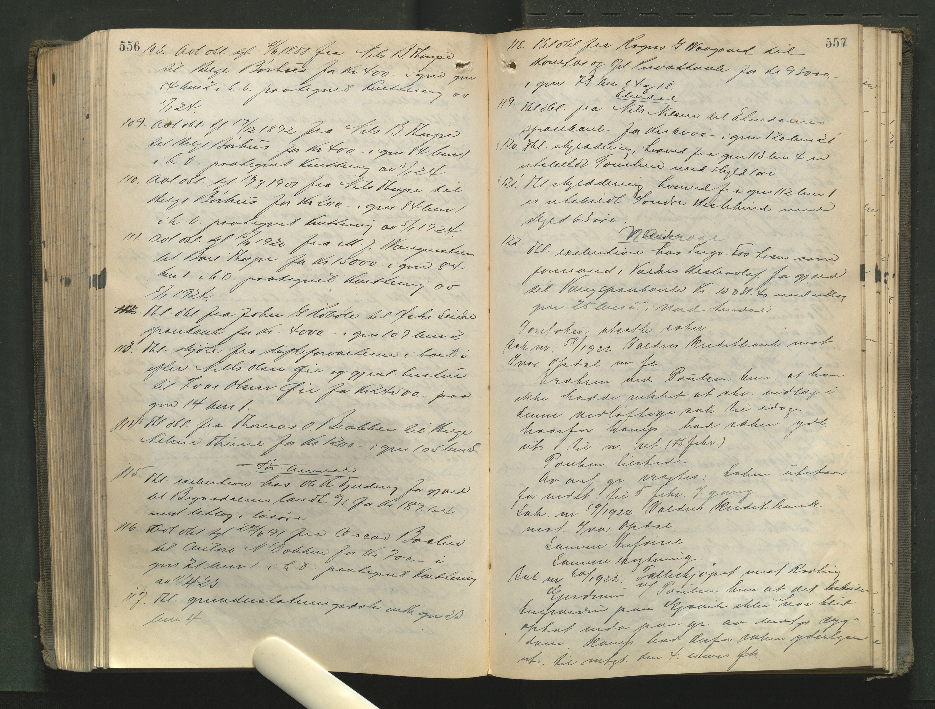 Valdres sorenskriveri, AV/SAH-TING-016/G/Gb/L0041: Tingbok, 1922-1924, p. 556-557