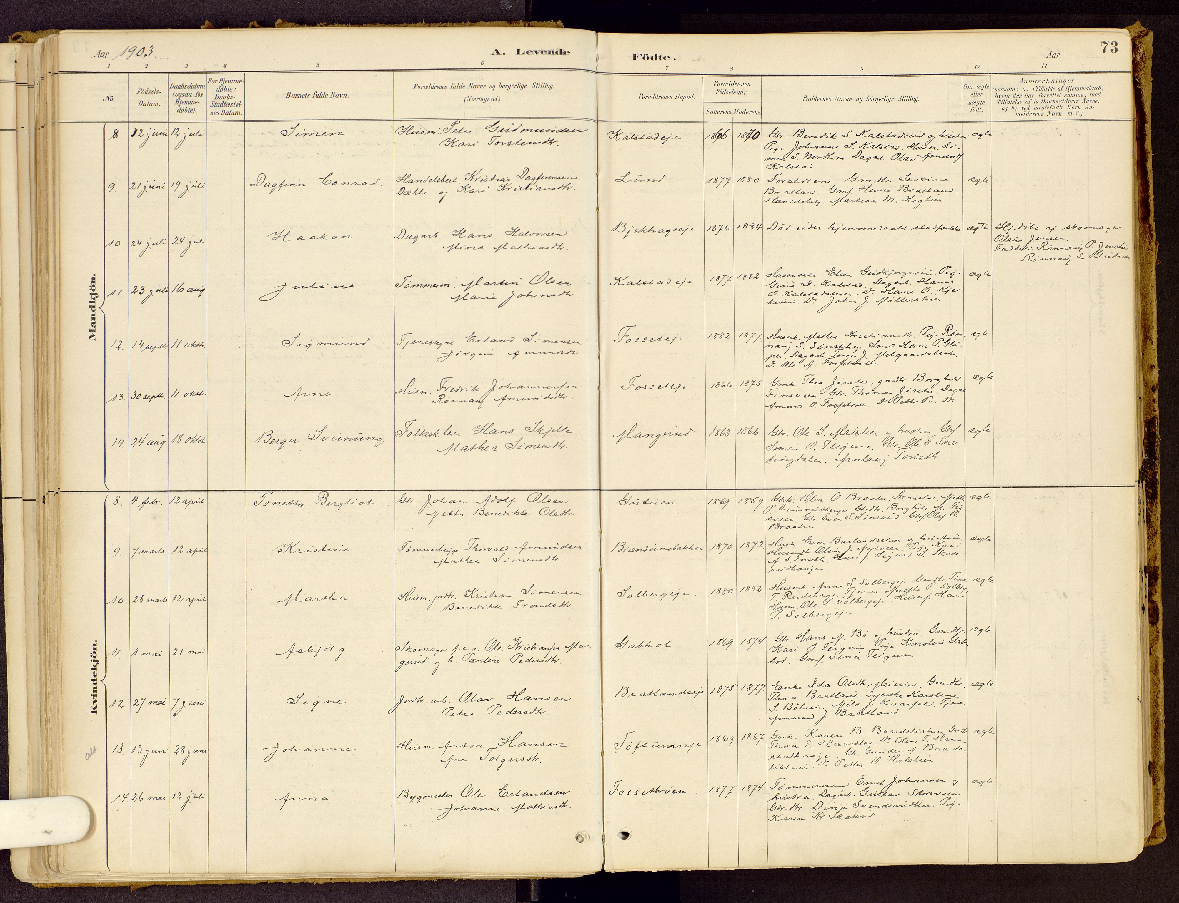 Vestre Gausdal prestekontor, SAH/PREST-094/H/Ha/Haa/L0001: Parish register (official) no. 1, 1887-1914, p. 73