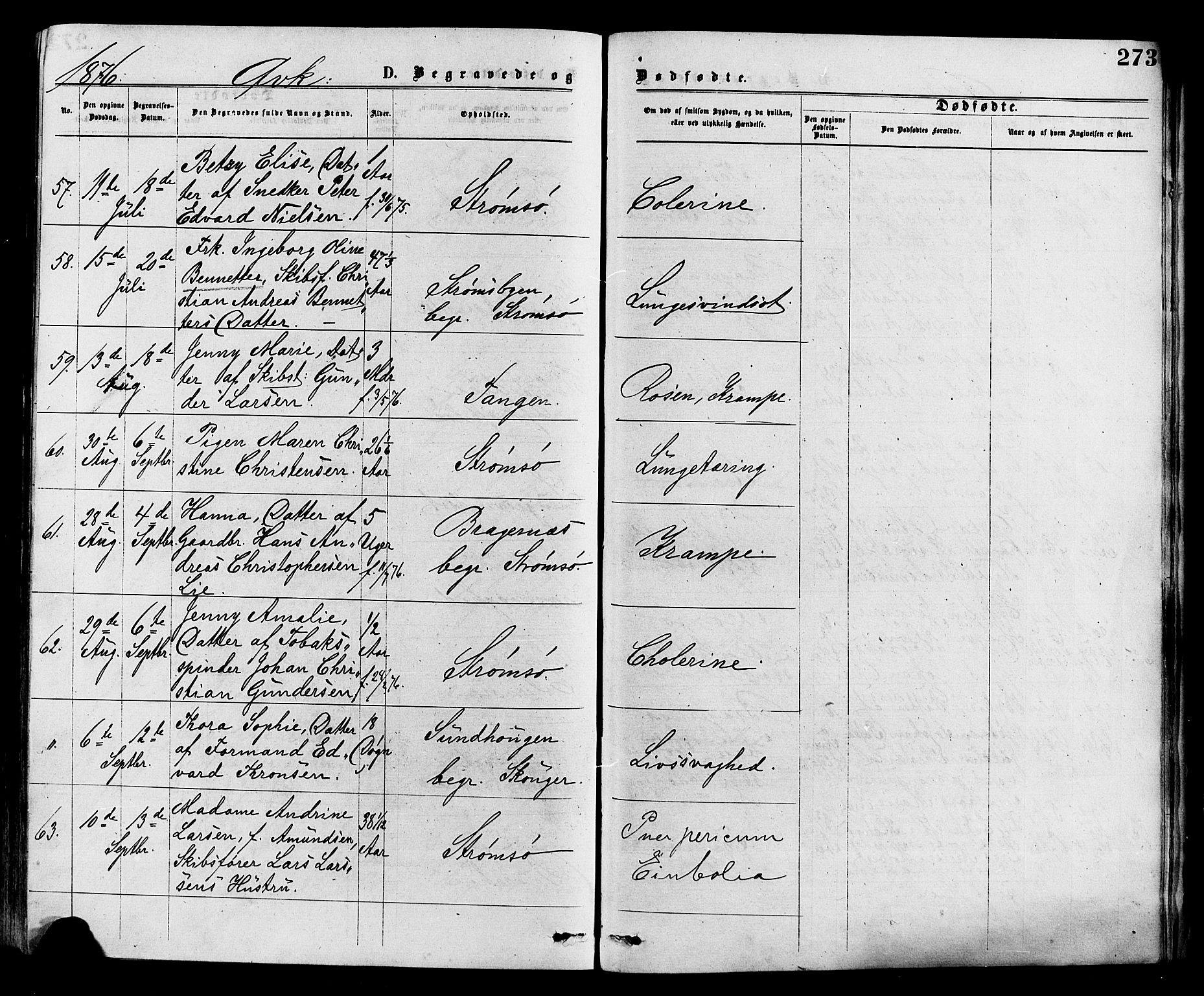 Strømsø kirkebøker, AV/SAKO-A-246/F/Fa/L0019: Parish register (official) no. I 19, 1874-1877, p. 273