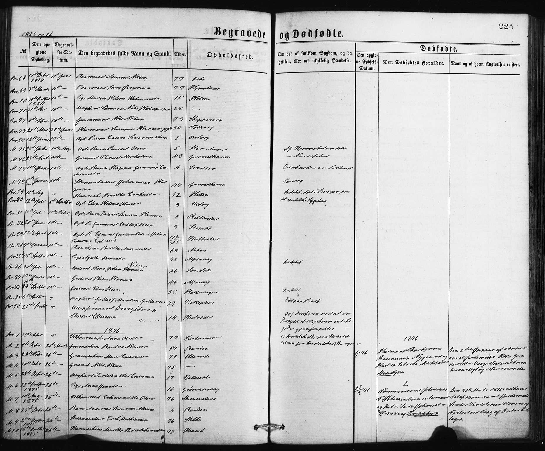 Finnås sokneprestembete, SAB/A-99925/H/Ha/Haa/Haaa/L0009: Parish register (official) no. A 9, 1873-1881, p. 225