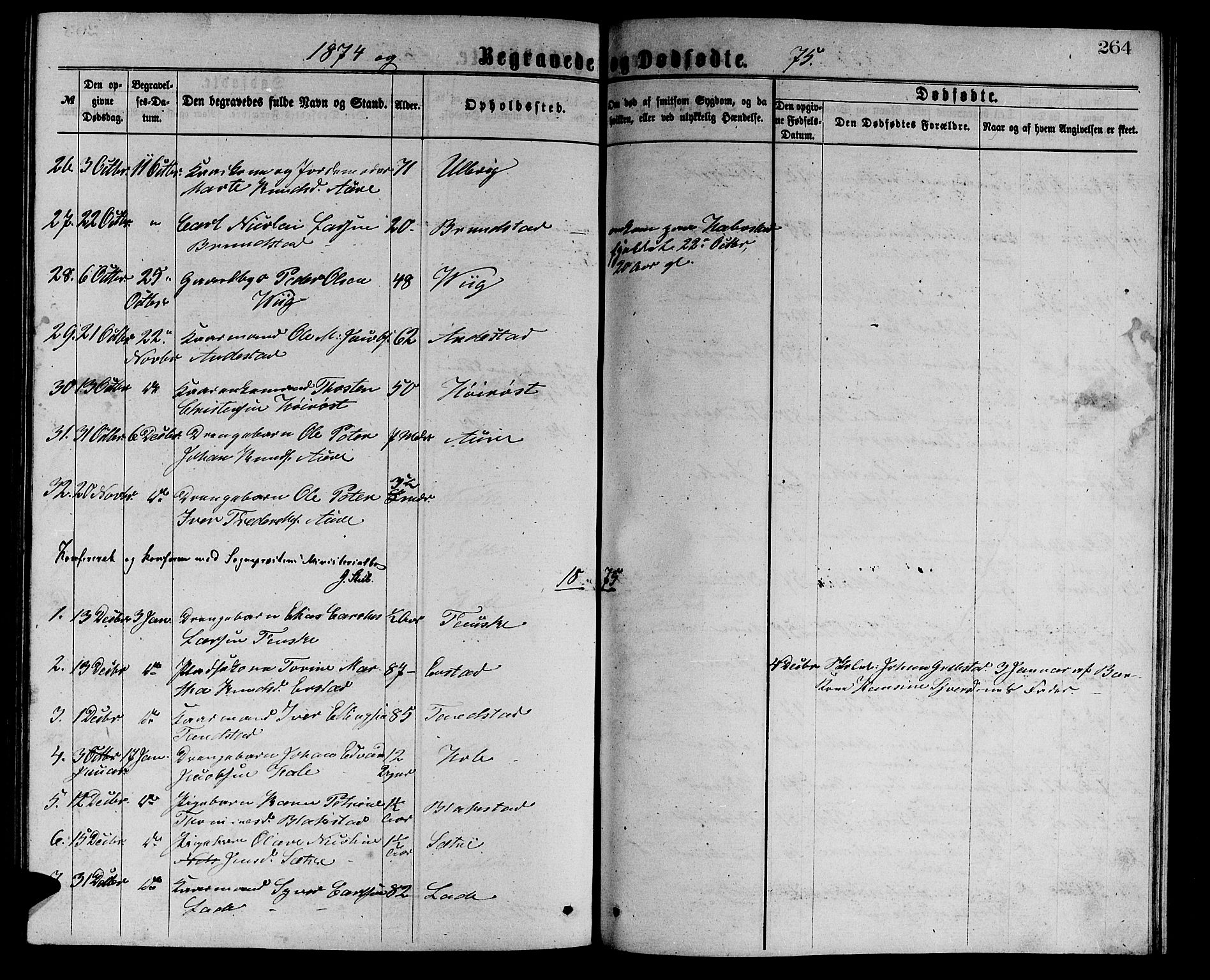 Ministerialprotokoller, klokkerbøker og fødselsregistre - Møre og Romsdal, AV/SAT-A-1454/523/L0338: Parish register (copy) no. 523C01, 1865-1877, p. 264