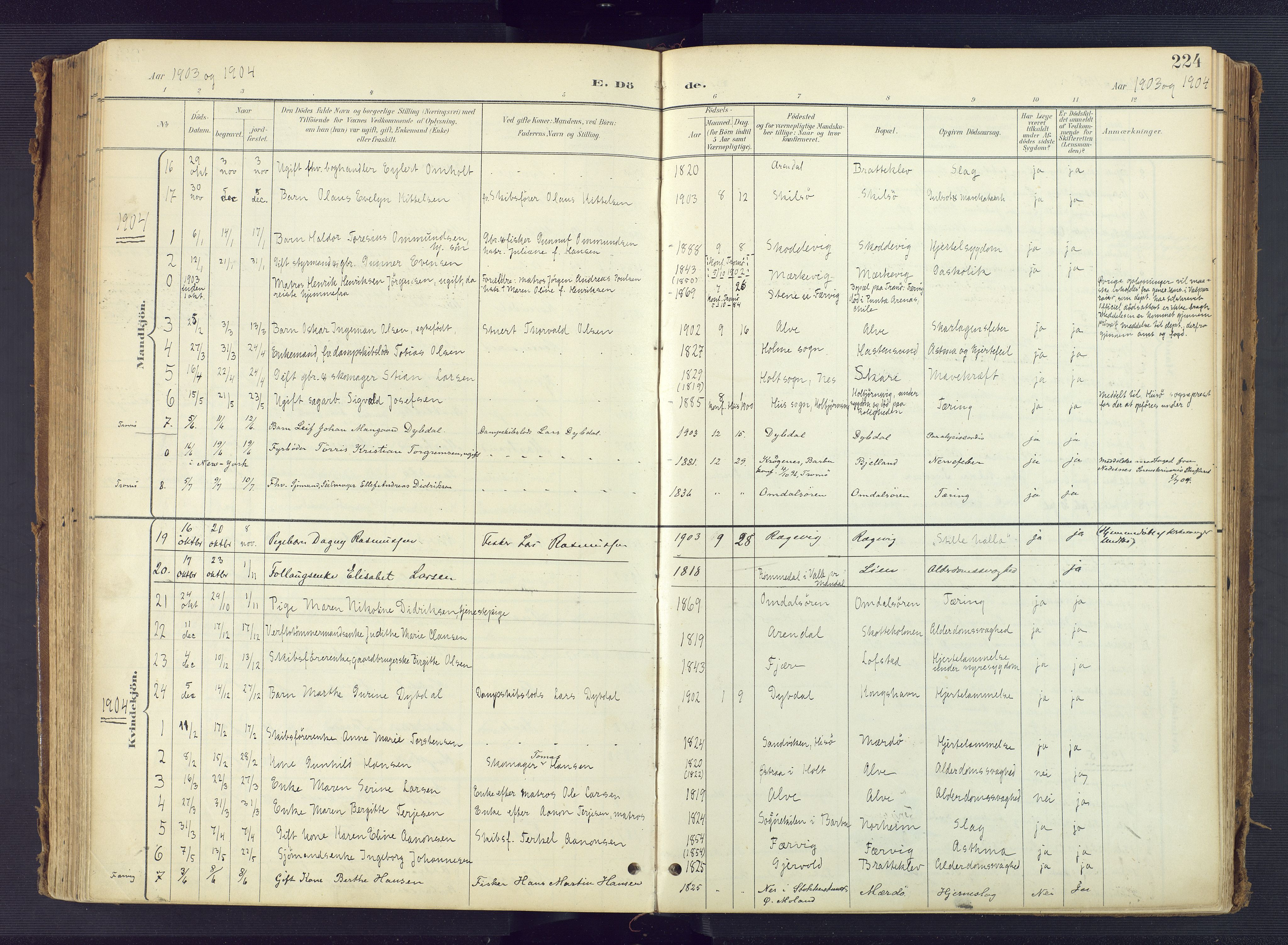Tromøy sokneprestkontor, AV/SAK-1111-0041/F/Fa/L0010: Parish register (official) no. A 10, 1896-1912, p. 224