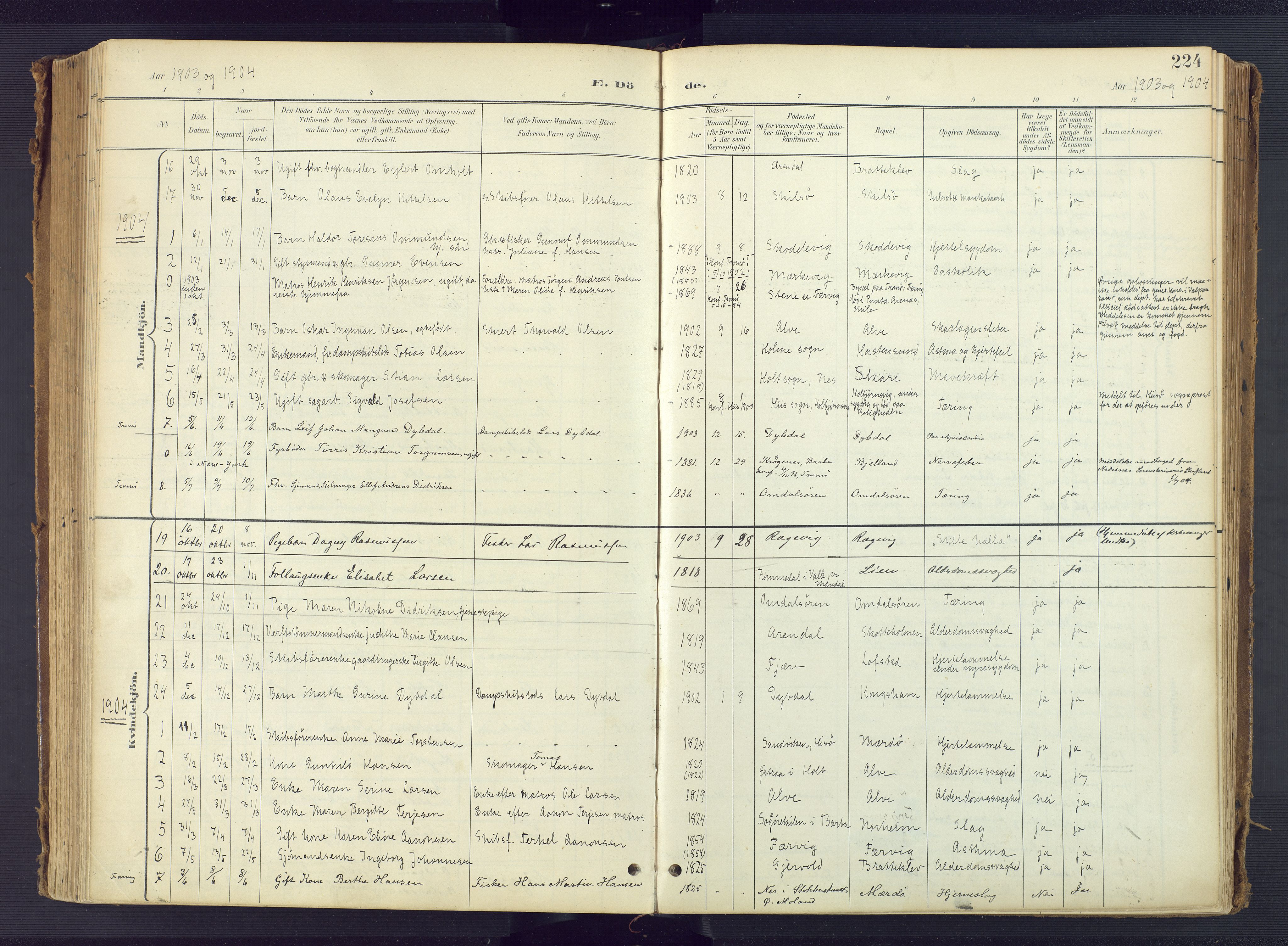 Tromøy sokneprestkontor, SAK/1111-0041/F/Fa/L0010: Parish register (official) no. A 10, 1896-1912, p. 224