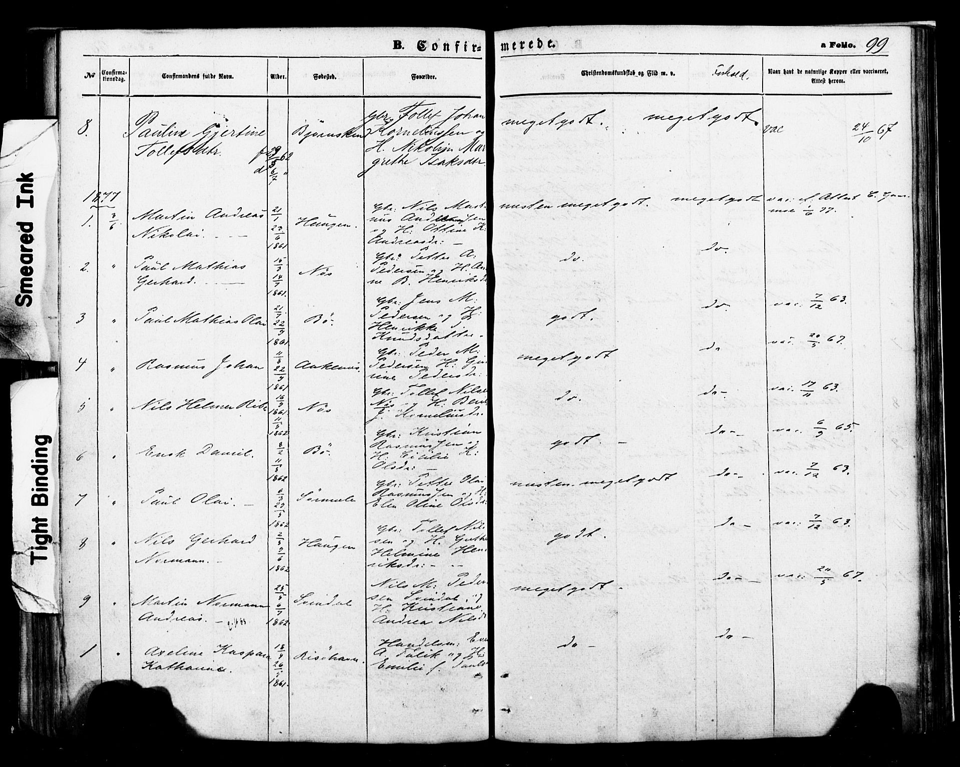 Ministerialprotokoller, klokkerbøker og fødselsregistre - Nordland, AV/SAT-A-1459/898/L1421: Parish register (official) no. 898A01, 1866-1886, p. 99