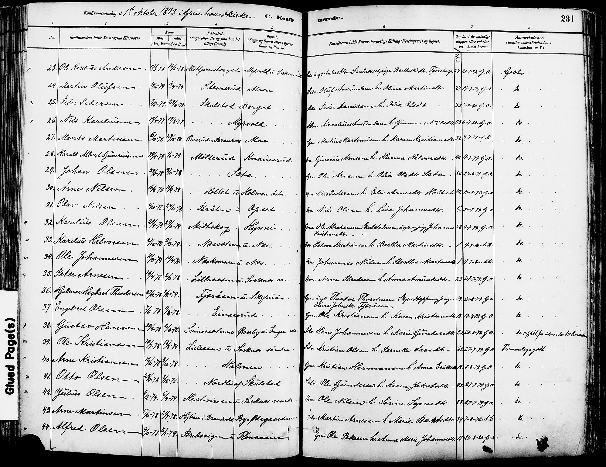 Grue prestekontor, AV/SAH-PREST-036/H/Ha/Haa/L0012: Parish register (official) no. 12, 1881-1897, p. 231