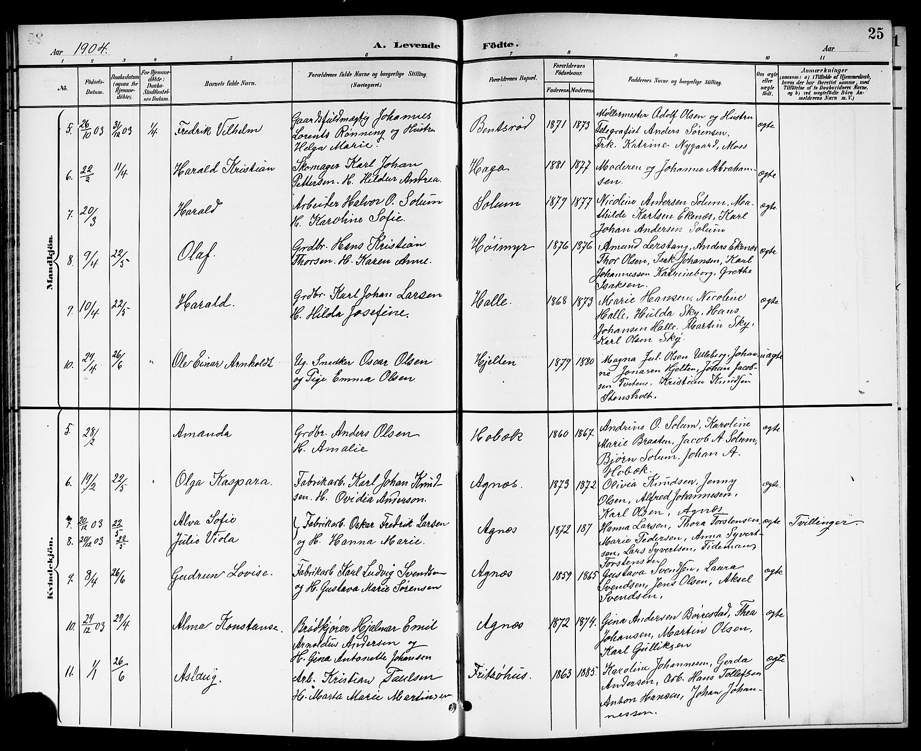 Brunlanes kirkebøker, AV/SAKO-A-342/G/Ga/L0004: Parish register (copy) no. I 4, 1898-1921, p. 25