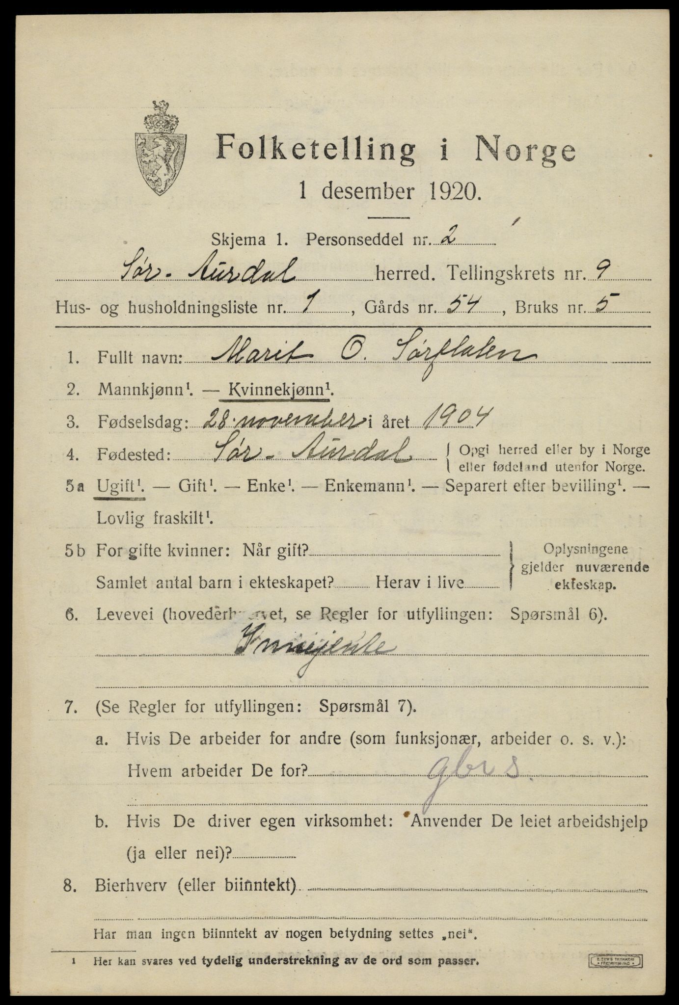 SAH, 1920 census for Sør-Aurdal, 1920, p. 5211