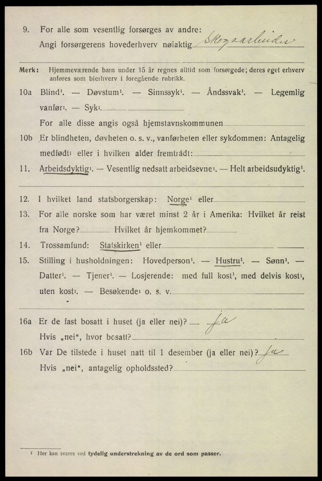 SAH, 1920 census for Vang (Hedmark), 1920, p. 17550