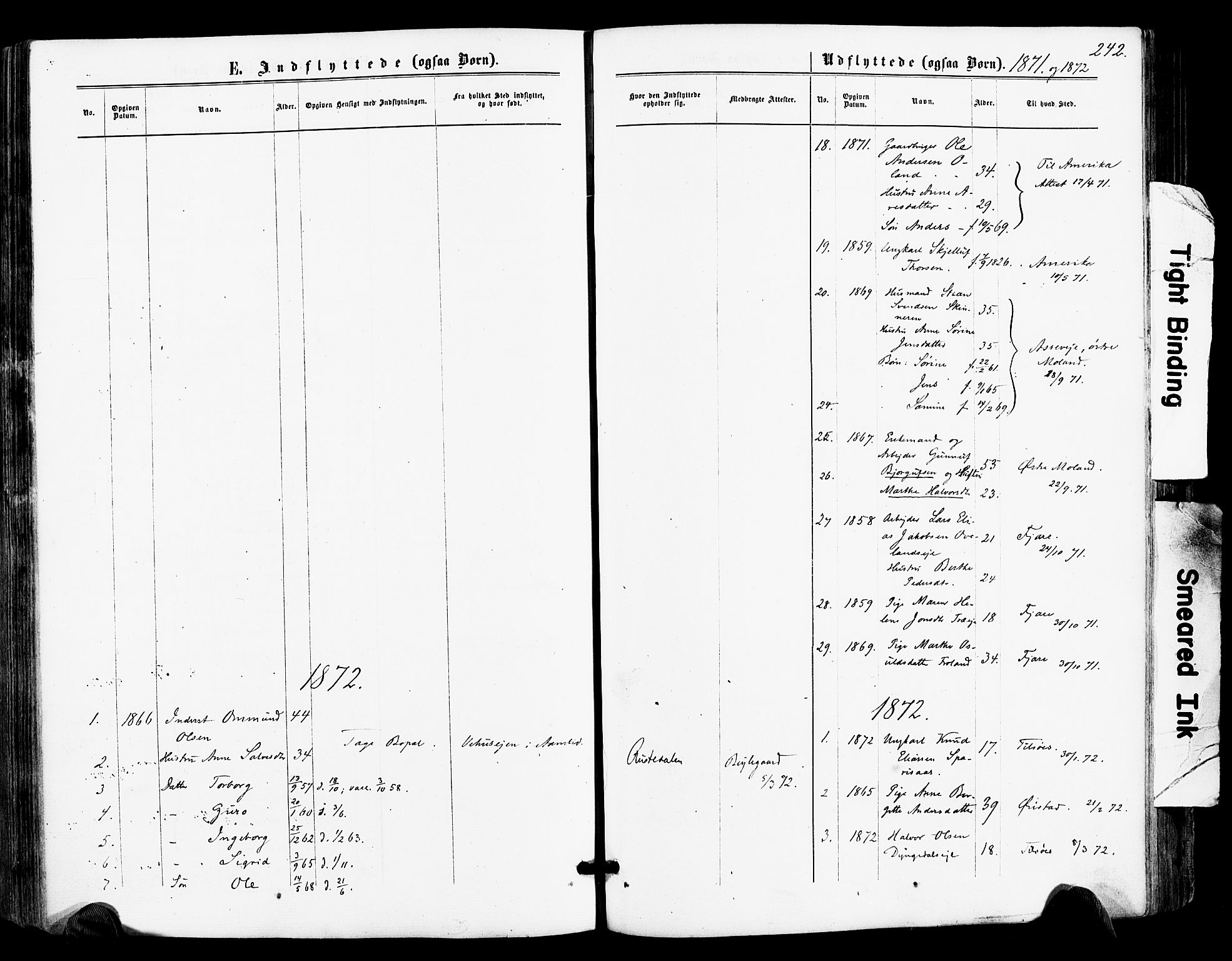 Froland sokneprestkontor, SAK/1111-0013/F/Fa/L0003: Parish register (official) no. A 3, 1864-1881, p. 242