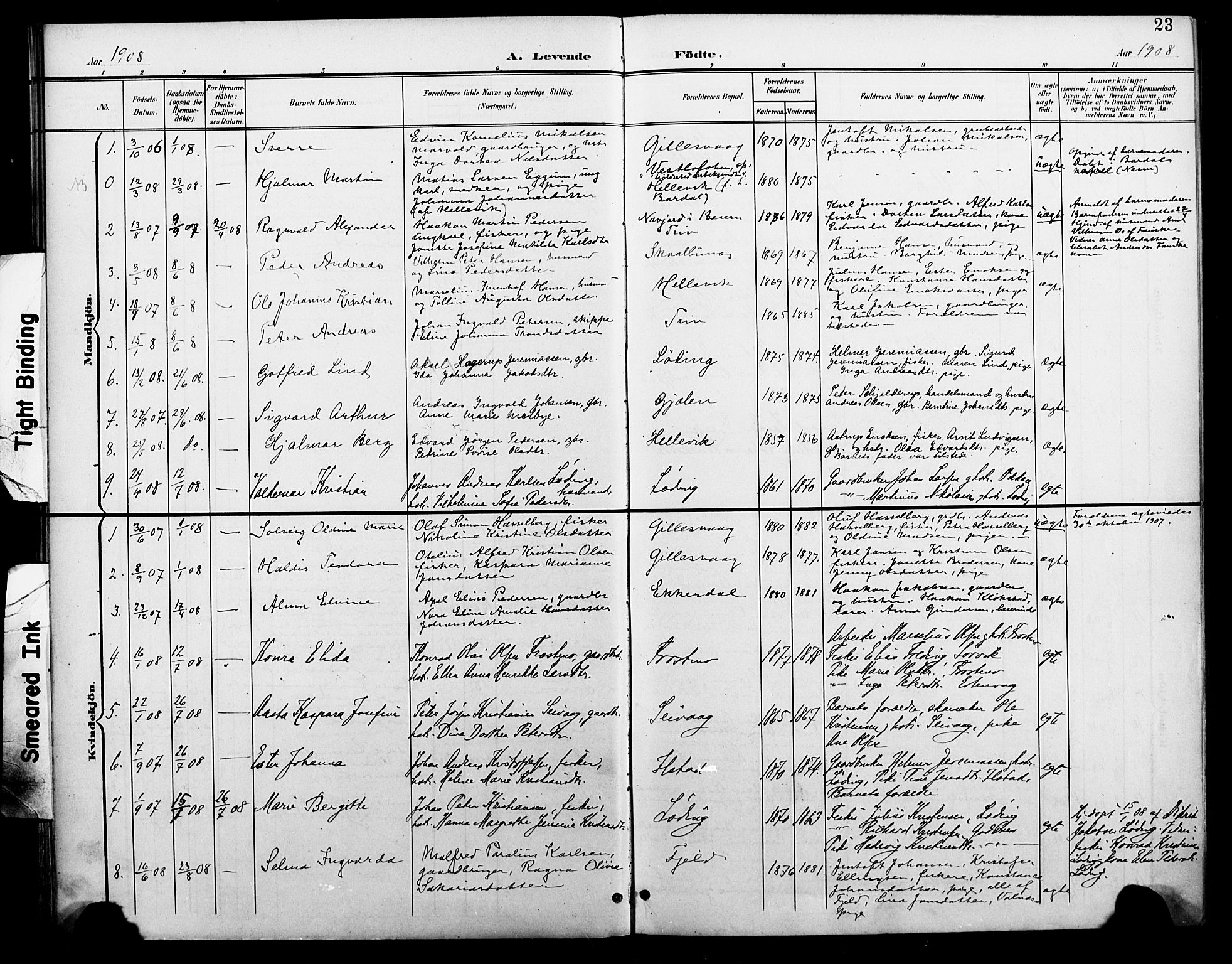 Ministerialprotokoller, klokkerbøker og fødselsregistre - Nordland, AV/SAT-A-1459/804/L0088: Parish register (copy) no. 804C01, 1901-1917, p. 23
