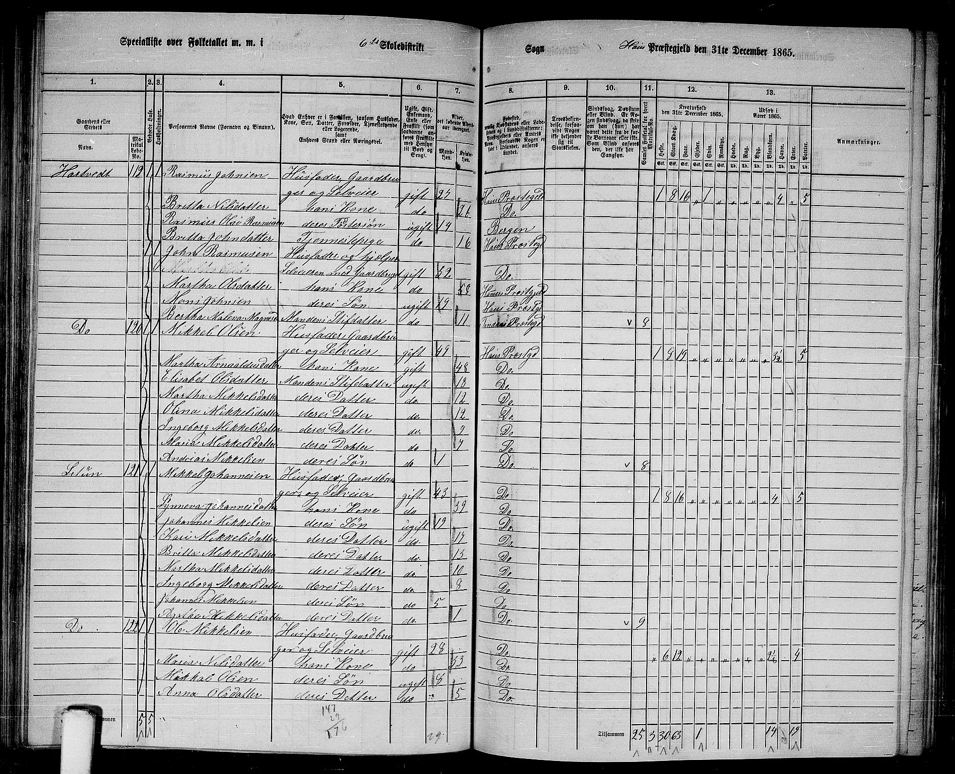 RA, 1865 census for Haus, 1865, p. 119