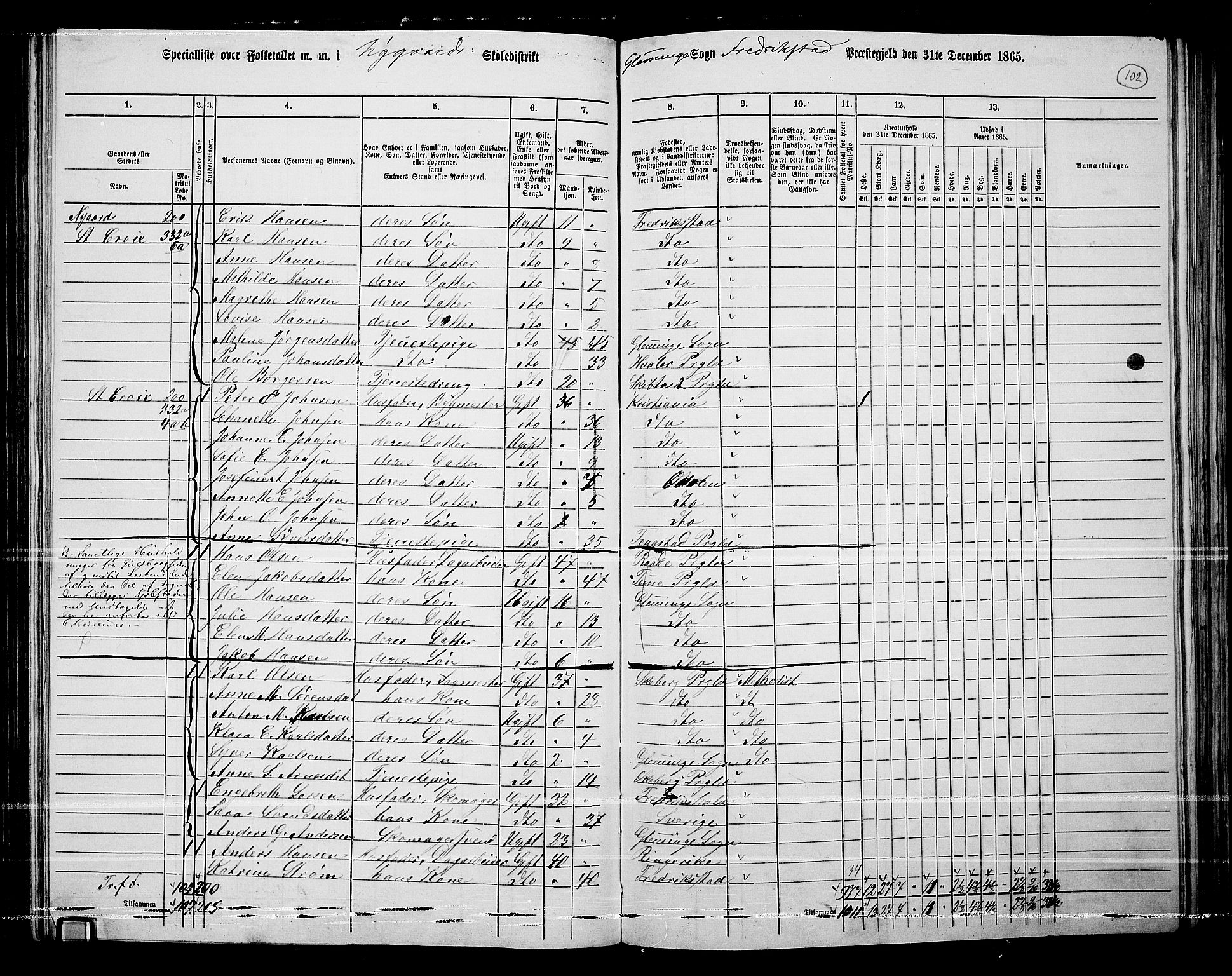 RA, 1865 census for Fredrikstad/Glemmen, 1865, p. 98