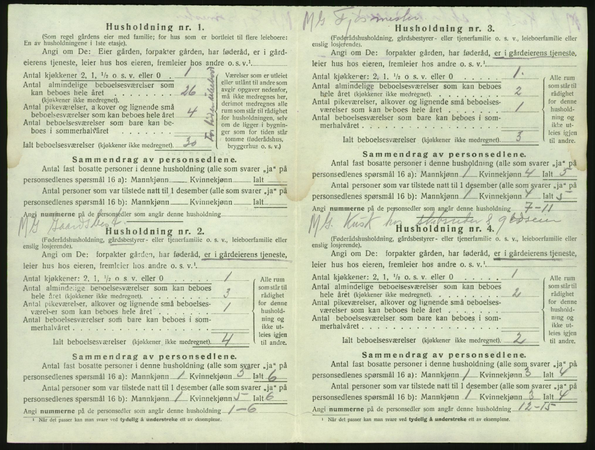 SAKO, 1920 census for Brunlanes, 1920, p. 506