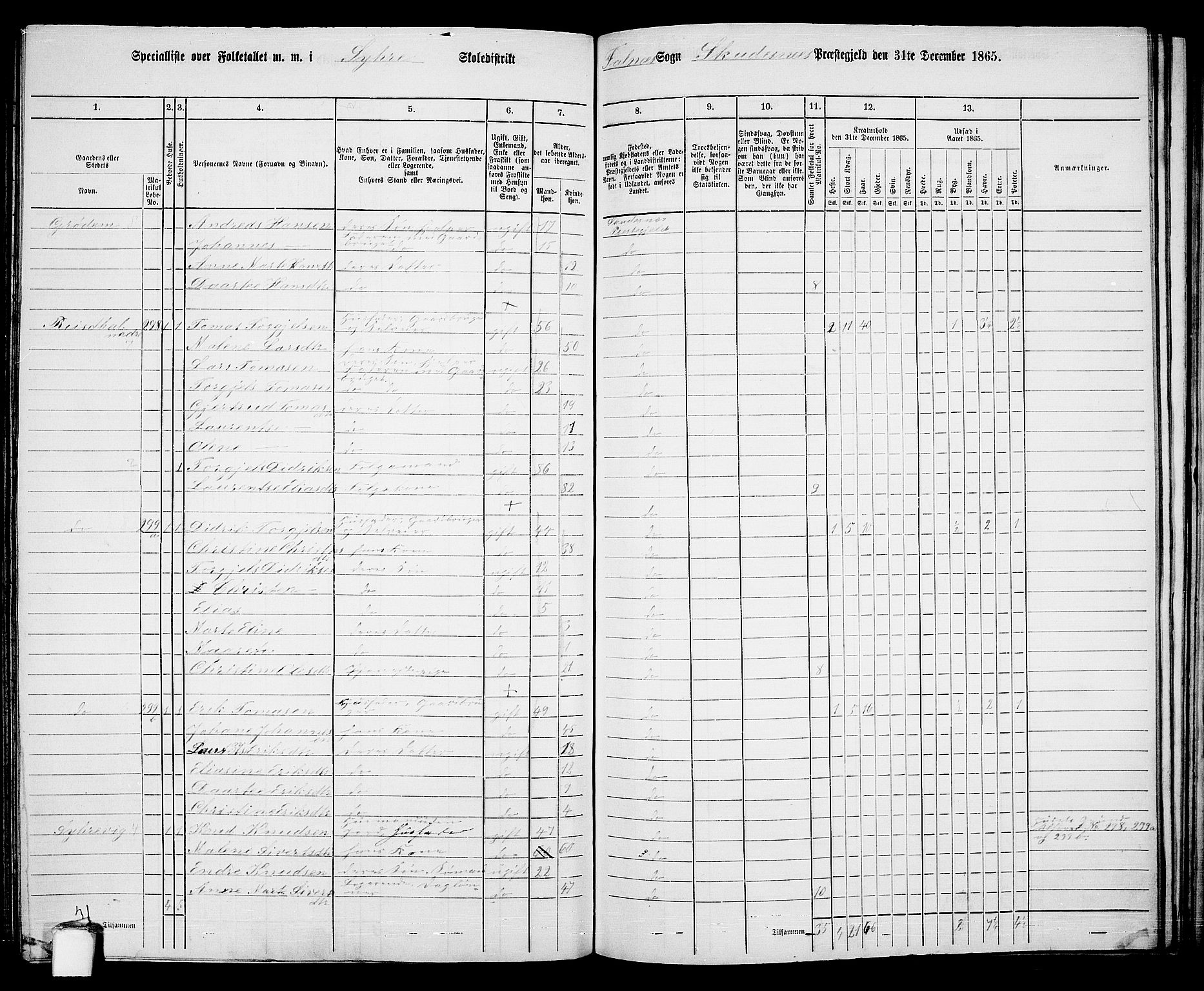 RA, 1865 census for Skudenes, 1865, p. 150