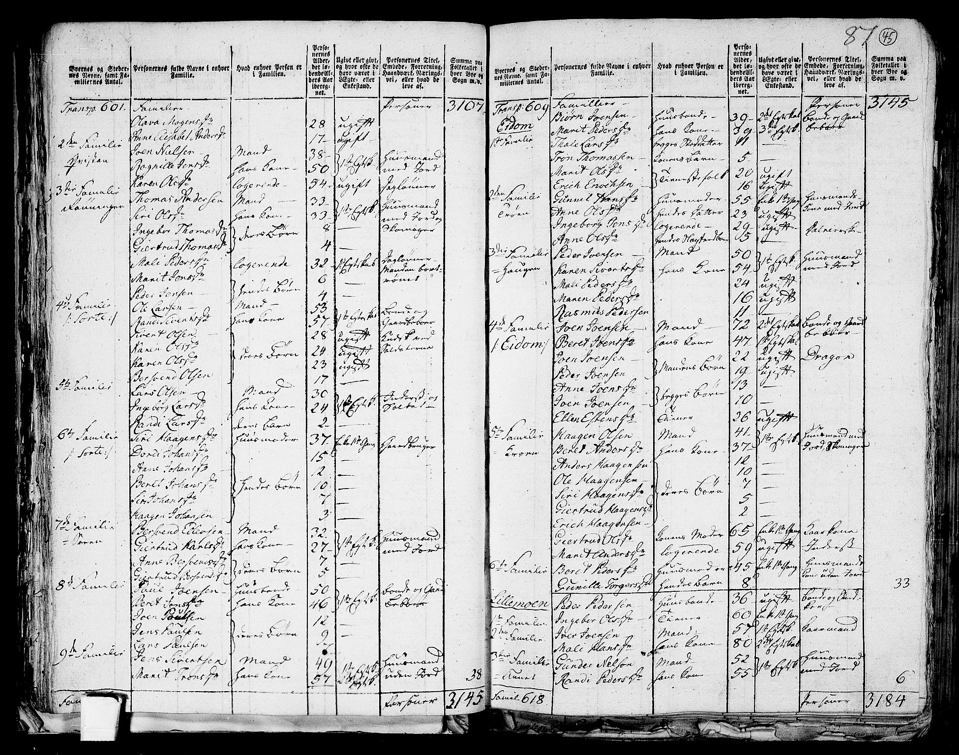 RA, 1801 census for 1714P Stjørdal, 1801, p. 44b-45a