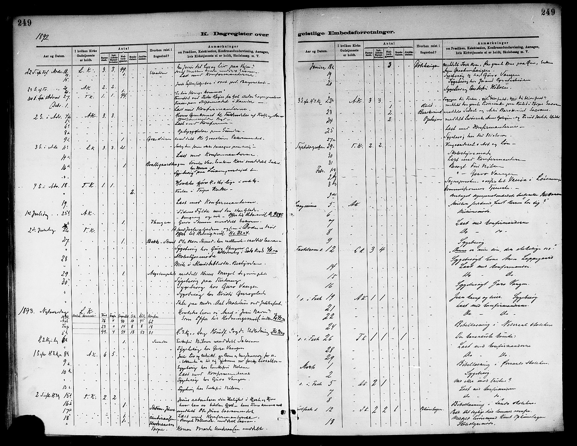 Ål kirkebøker, SAKO/A-249/F/Fa/L0008: Parish register (official) no. I 8, 1882-1896, p. 249