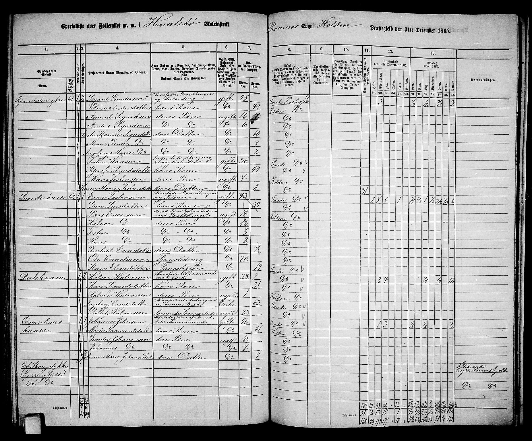 RA, 1865 census for Holla, 1865, p. 126