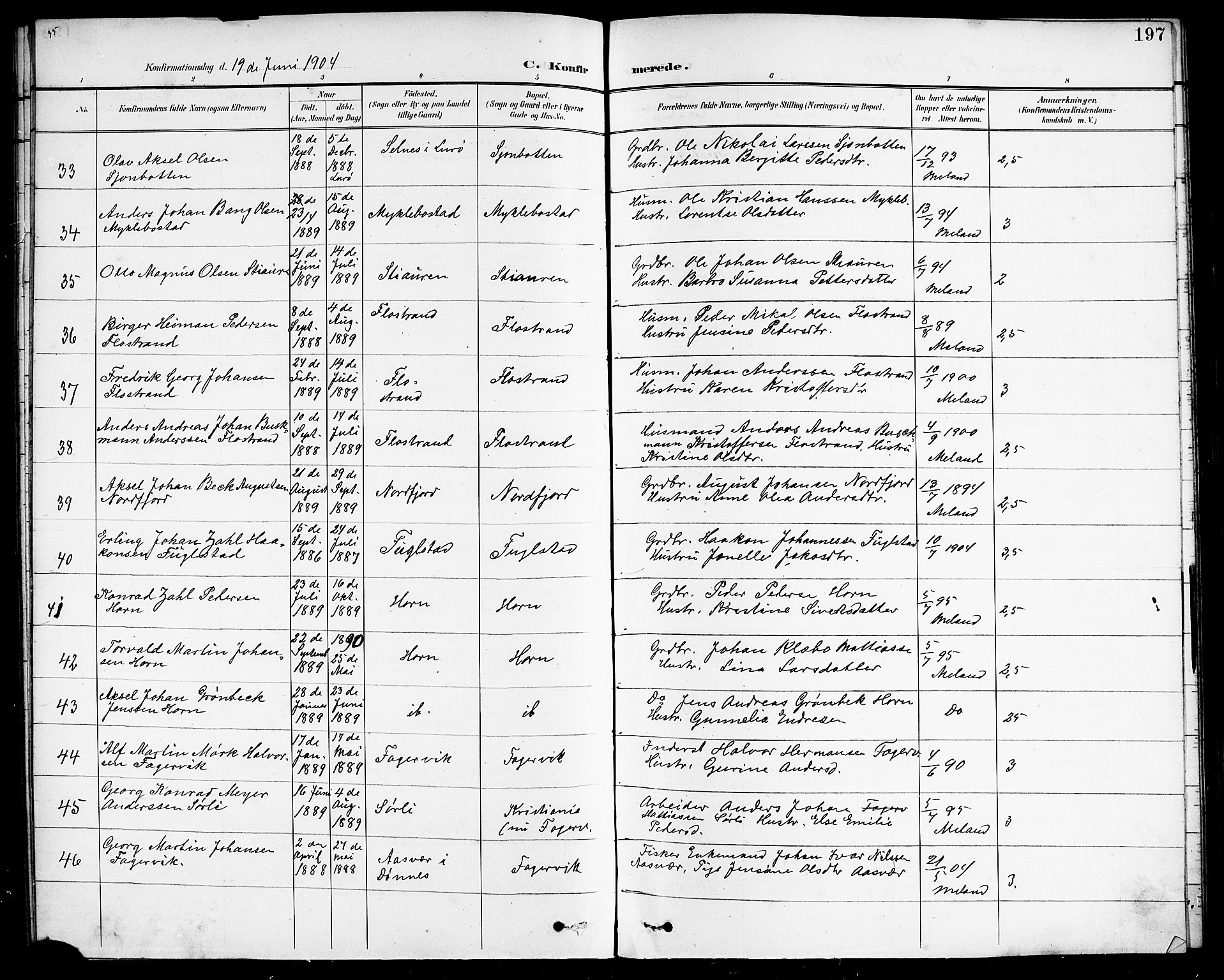 Ministerialprotokoller, klokkerbøker og fødselsregistre - Nordland, AV/SAT-A-1459/838/L0559: Parish register (copy) no. 838C06, 1893-1910, p. 197