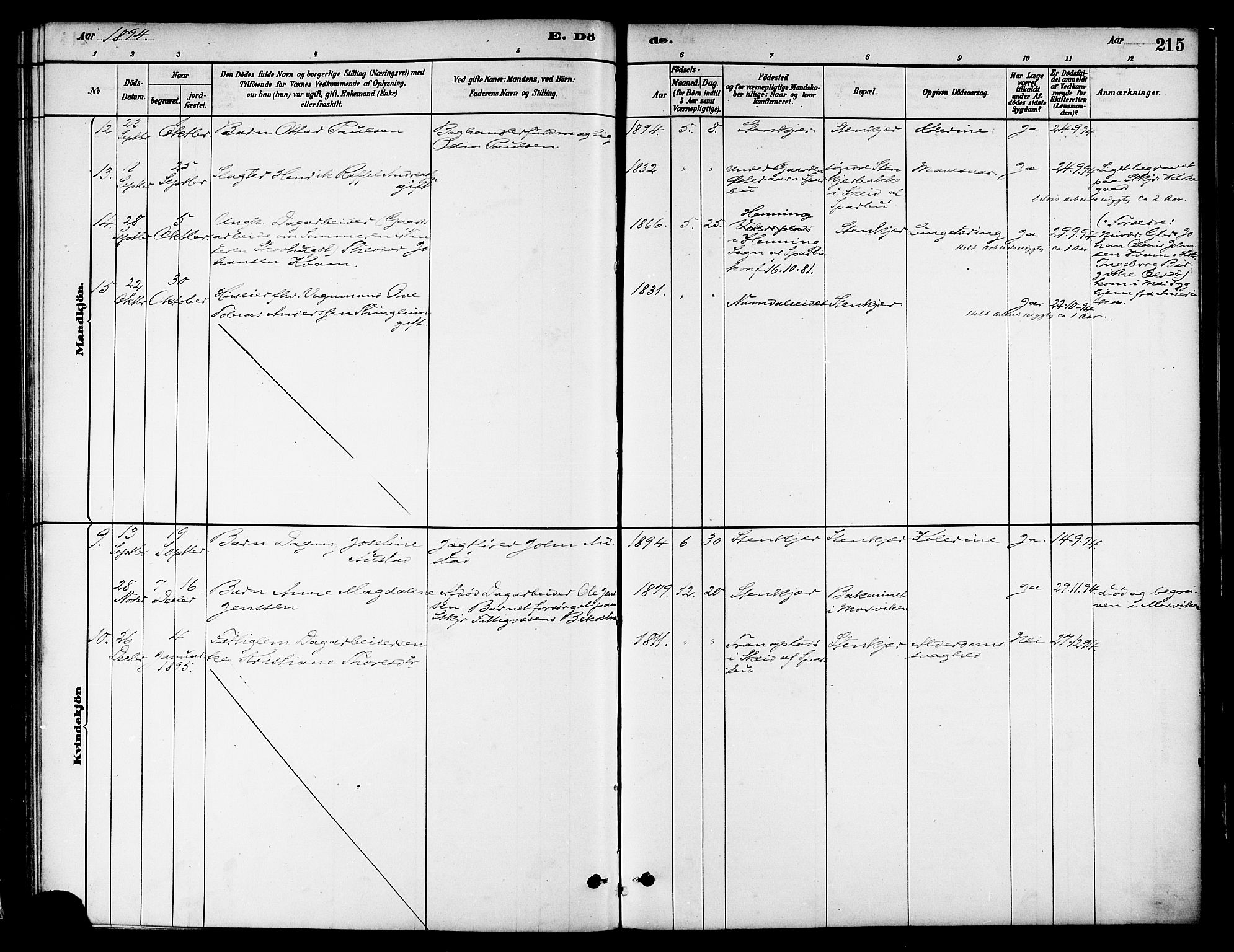 Ministerialprotokoller, klokkerbøker og fødselsregistre - Nord-Trøndelag, SAT/A-1458/739/L0371: Parish register (official) no. 739A03, 1881-1895, p. 215
