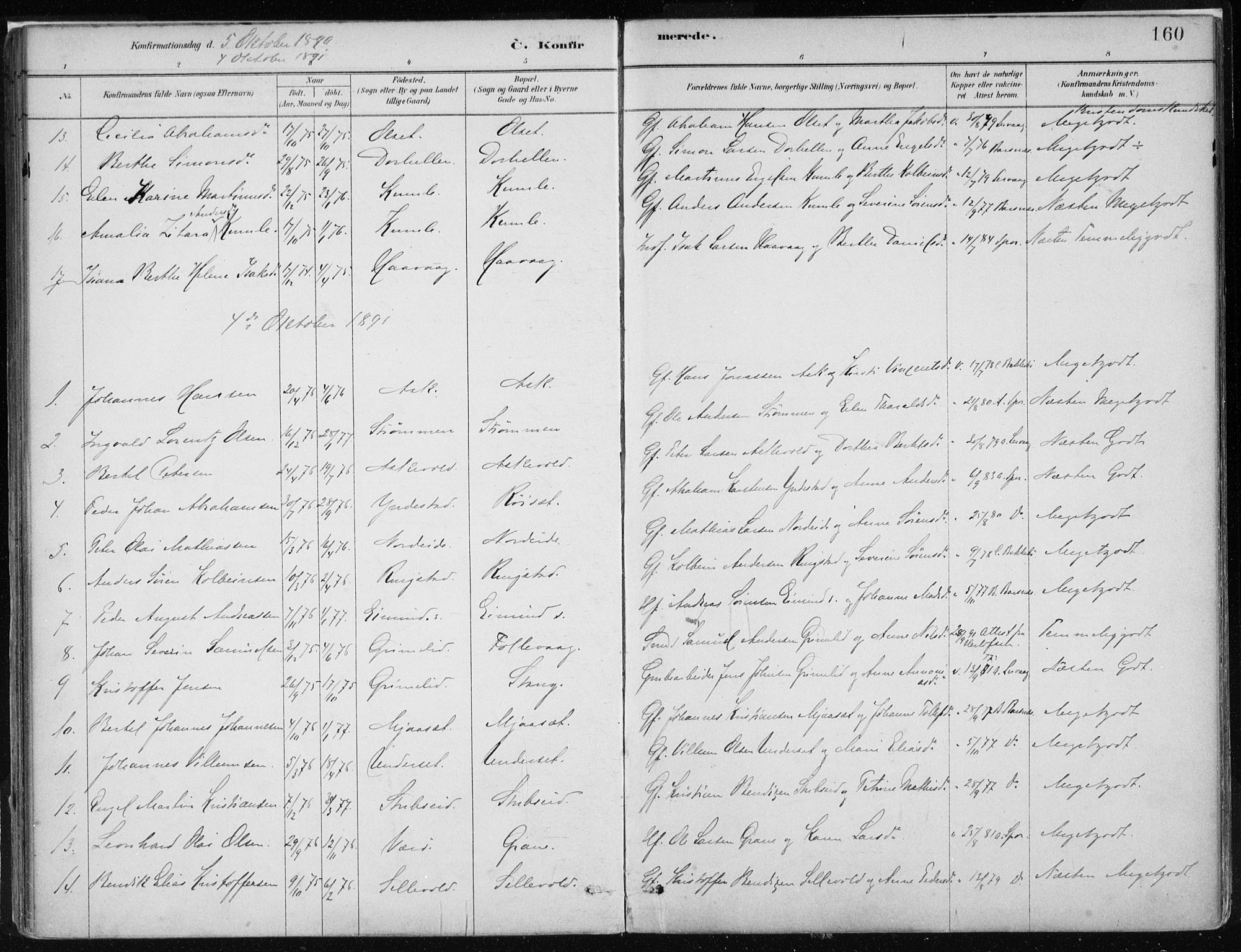 Askvoll sokneprestembete, AV/SAB-A-79501/H/Haa/Haab/L0002: Parish register (official) no. B 2, 1879-1909, p. 160