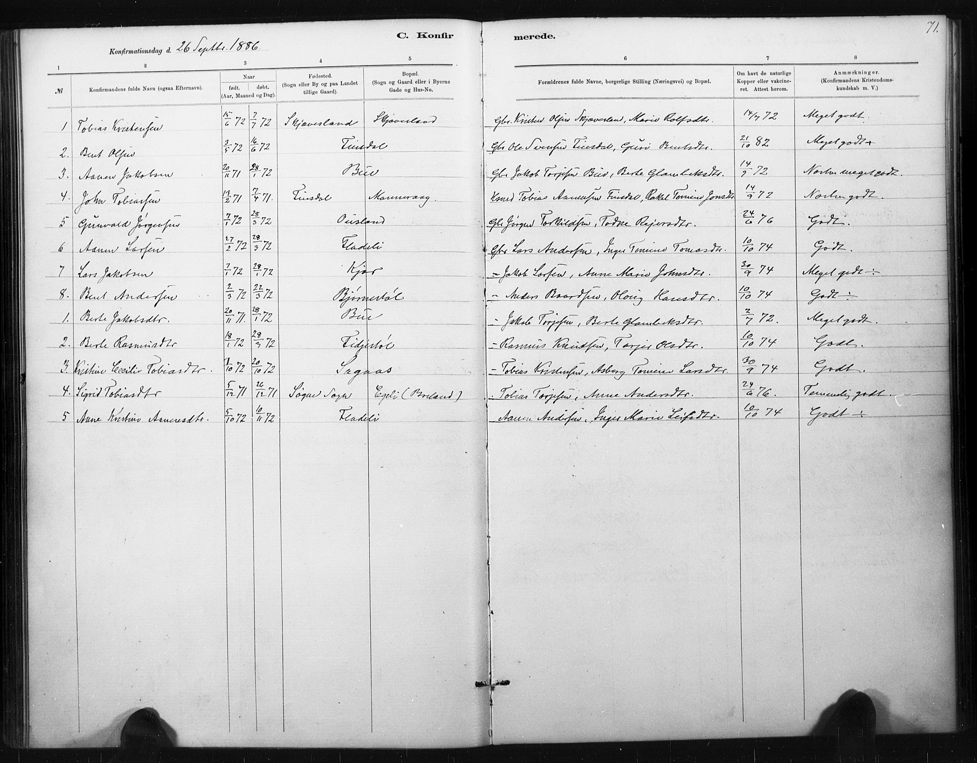 Holum sokneprestkontor, AV/SAK-1111-0022/F/Fa/Fac/L0004: Parish register (official) no. A 4, 1884-1907, p. 71