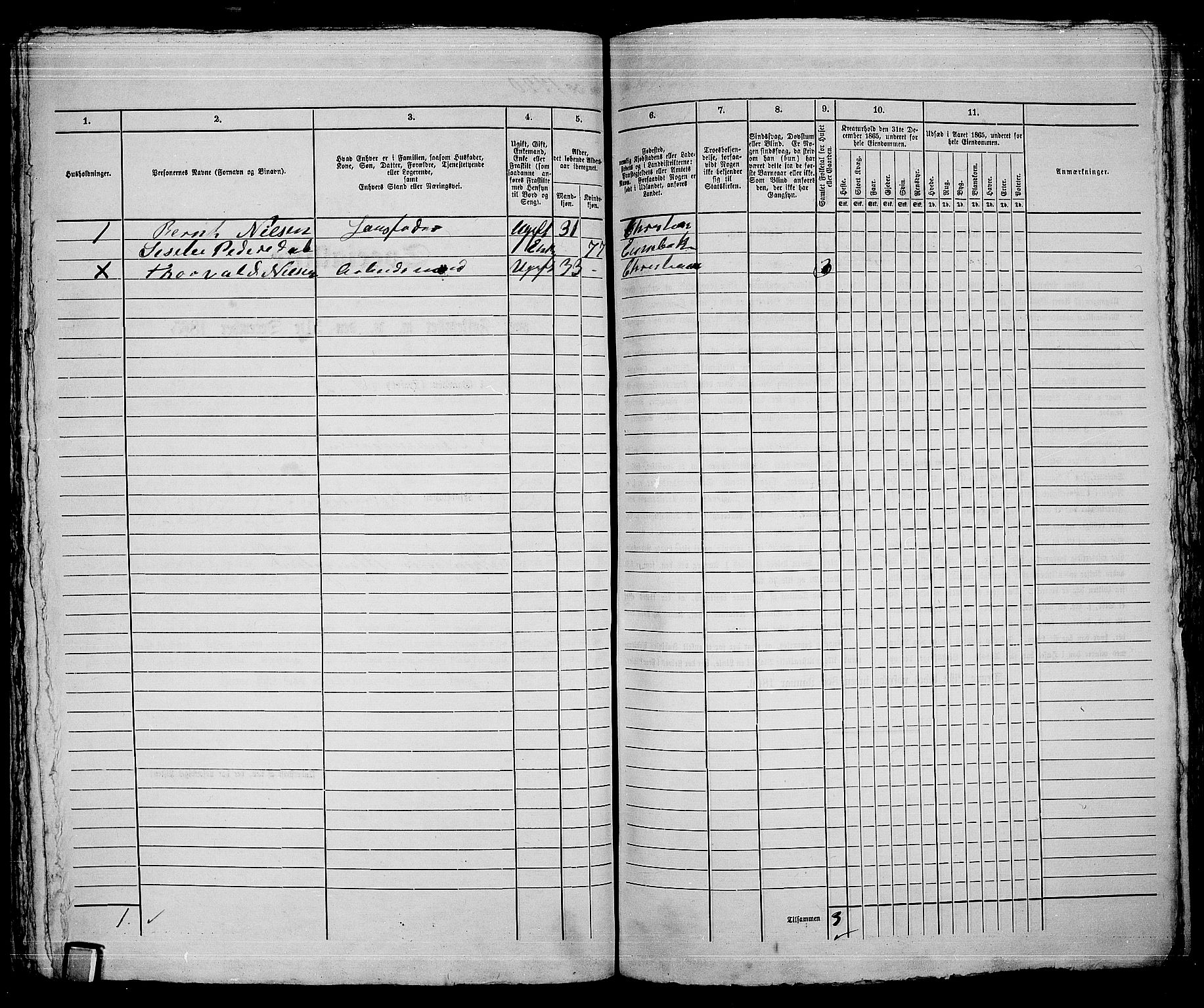 RA, 1865 census for Kristiania, 1865, p. 3880