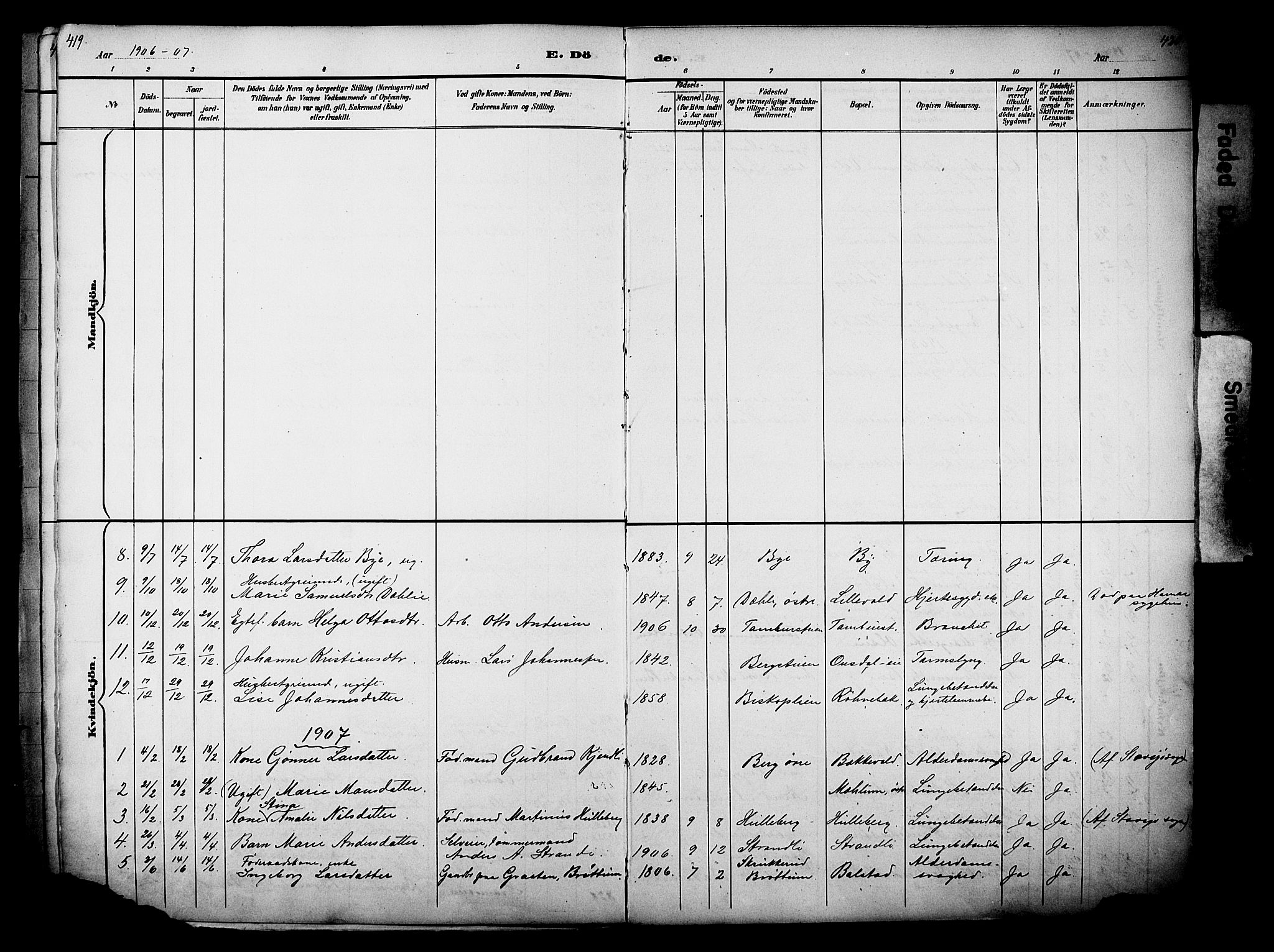 Nes prestekontor, Hedmark, AV/SAH-PREST-020/L/La/L0006: Parish register (copy) no. 6, 1890-1932, p. 419-420