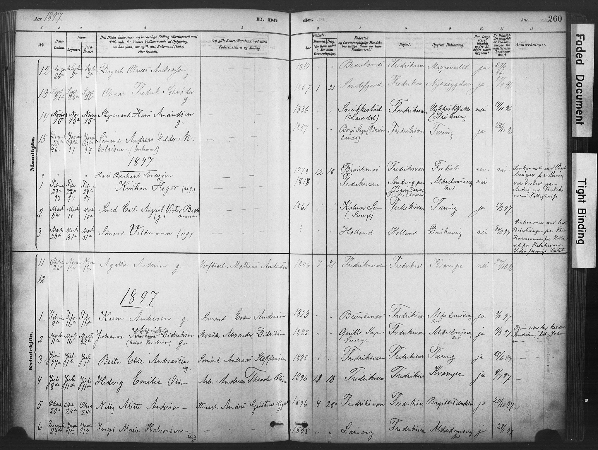 Stavern kirkebøker, AV/SAKO-A-318/F/Fa/L0008: Parish register (official) no. 8, 1878-1905, p. 260